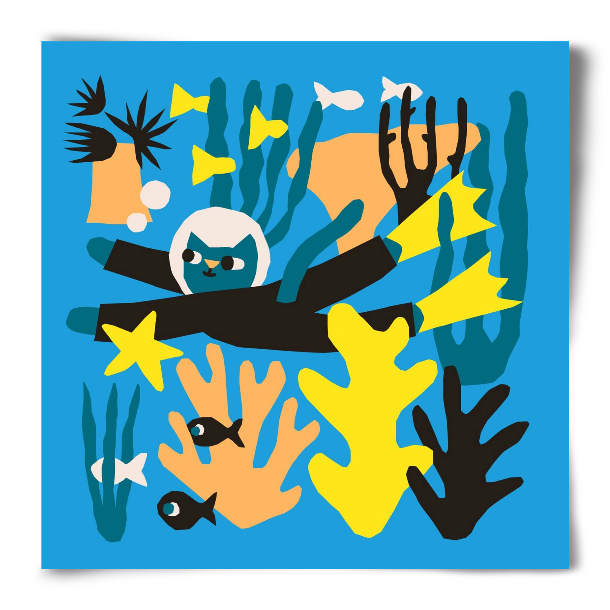 Diving Cat, 50x50 cm, Keret nélkül