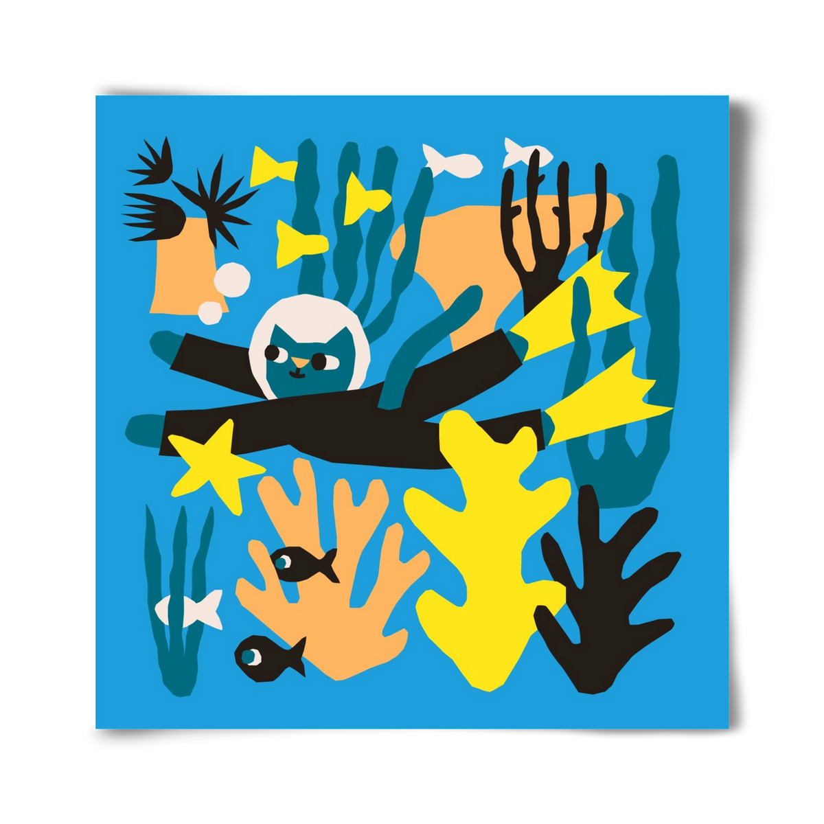 Diving Cat, 40x40 cm, Keret nélkül