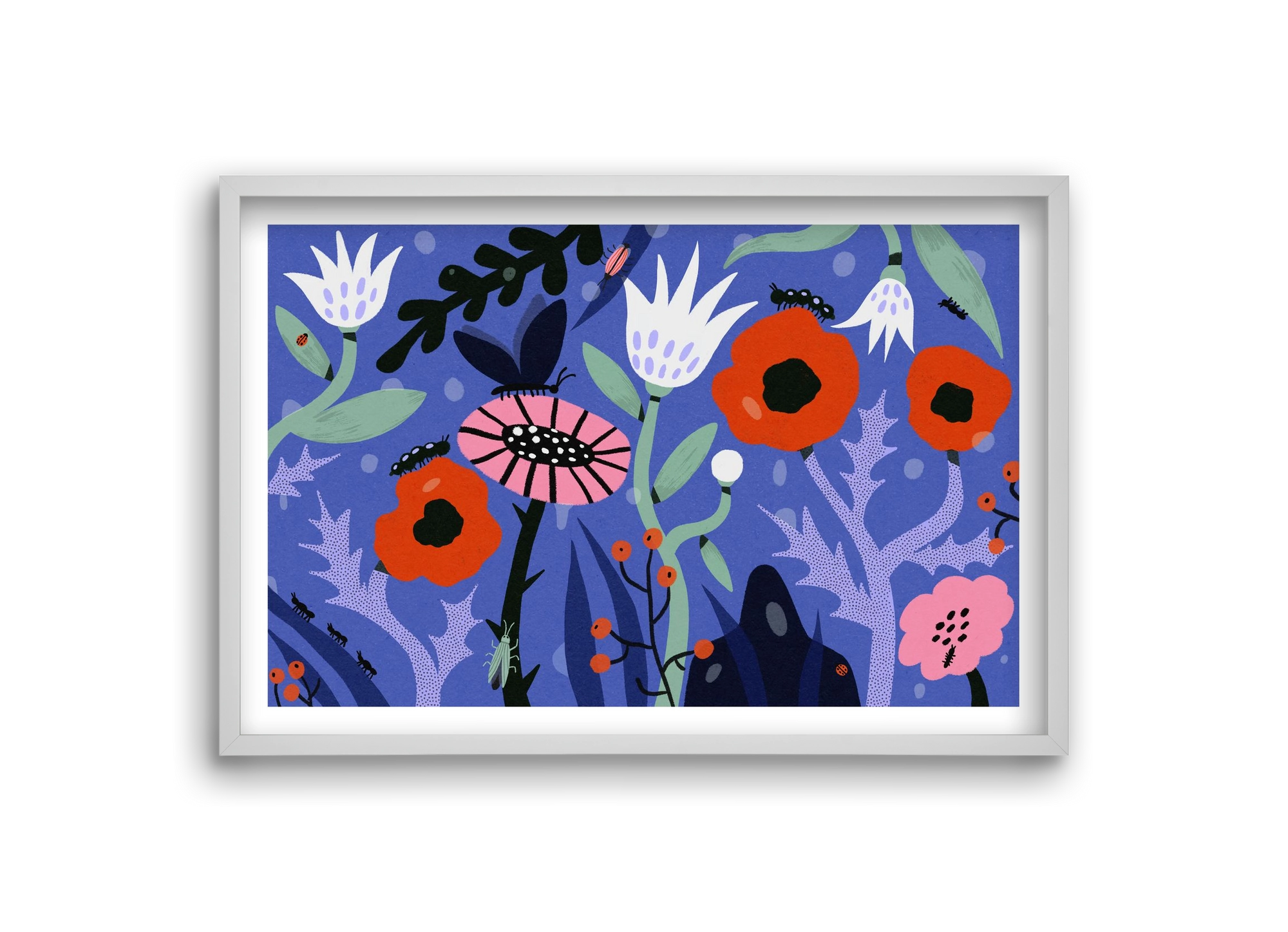 Morning Dew, 30x20 cm (30x20 cm), Fehér keret