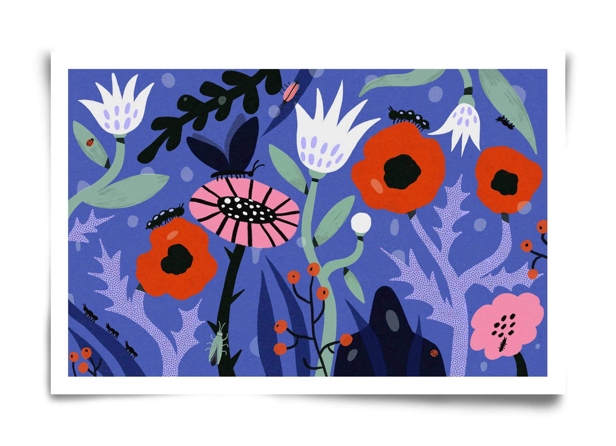 Morning Dew, 60x40 cm, Keret nélkül