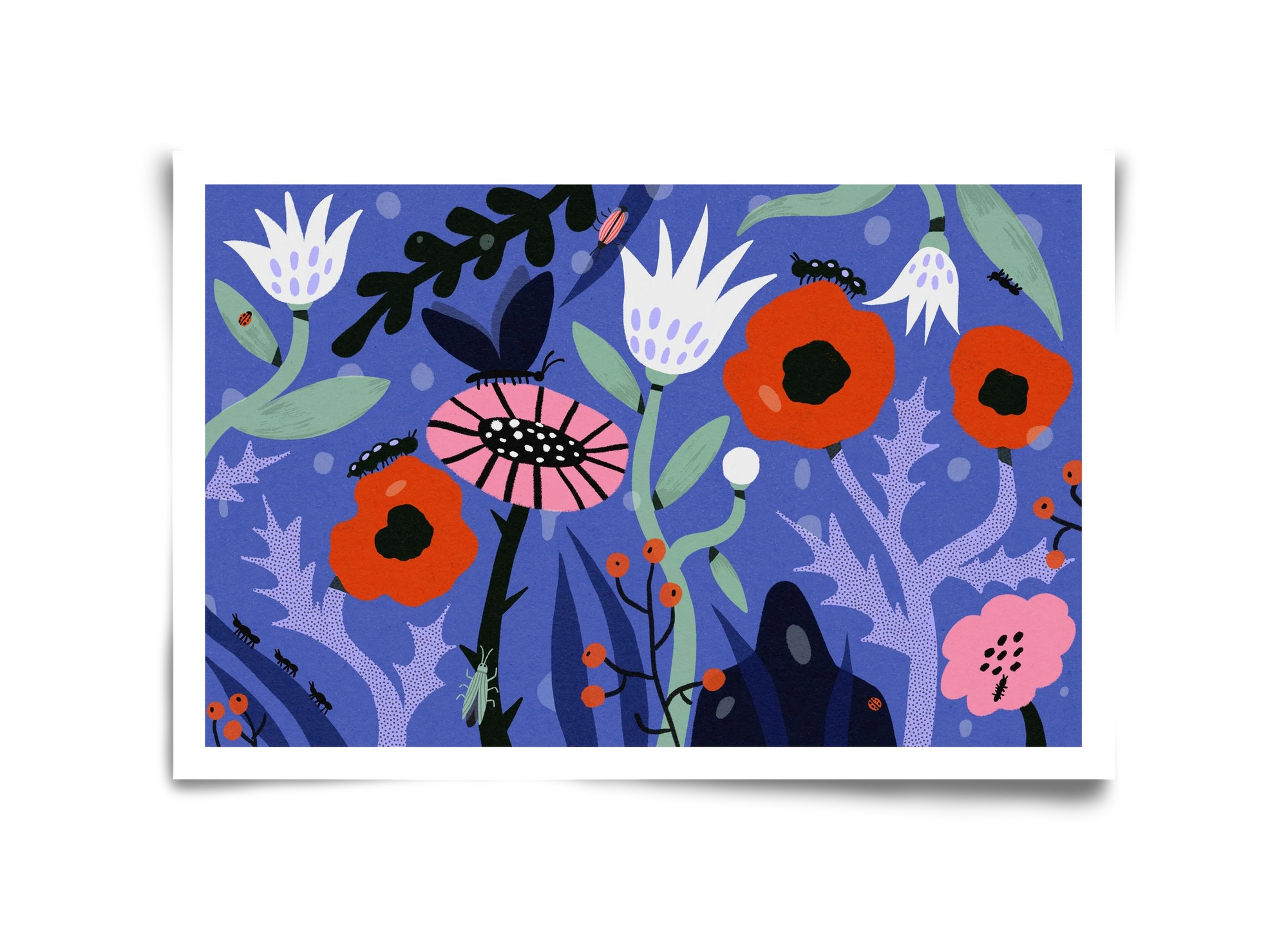 Morning Dew, 45x30 cm, Keret nélkül