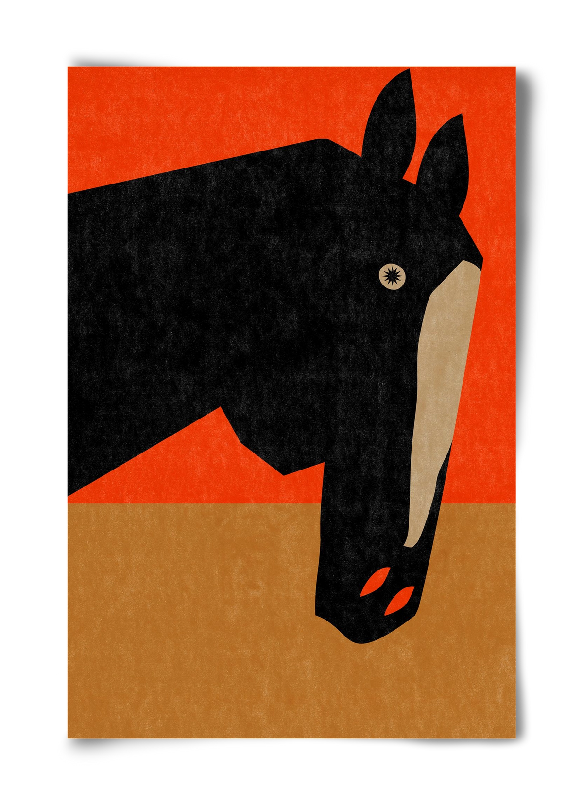 Horse portrait, 40x60 cm, Keret nélkül