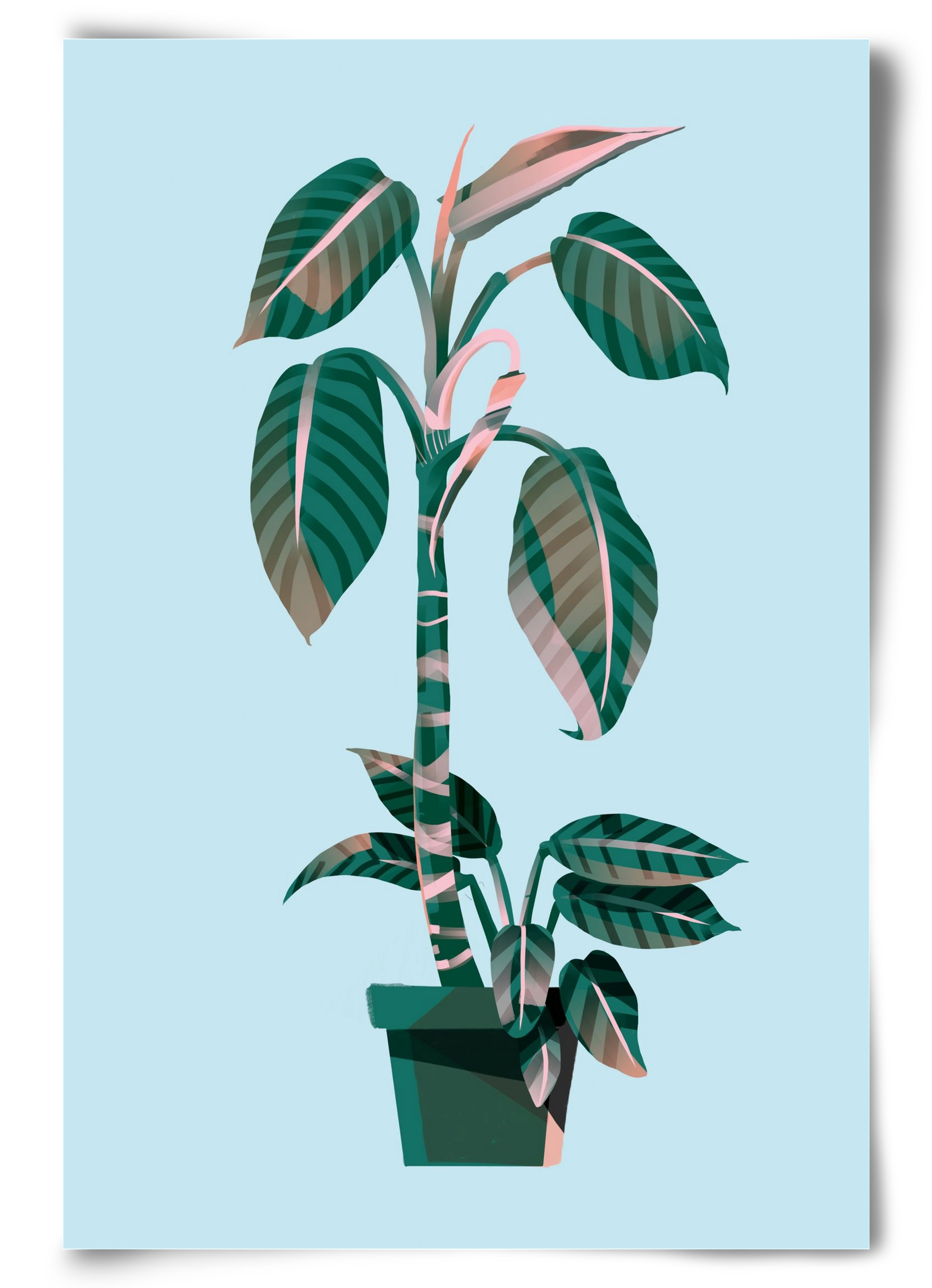 evergreen 01, 60x90 cm, Keret nélkül