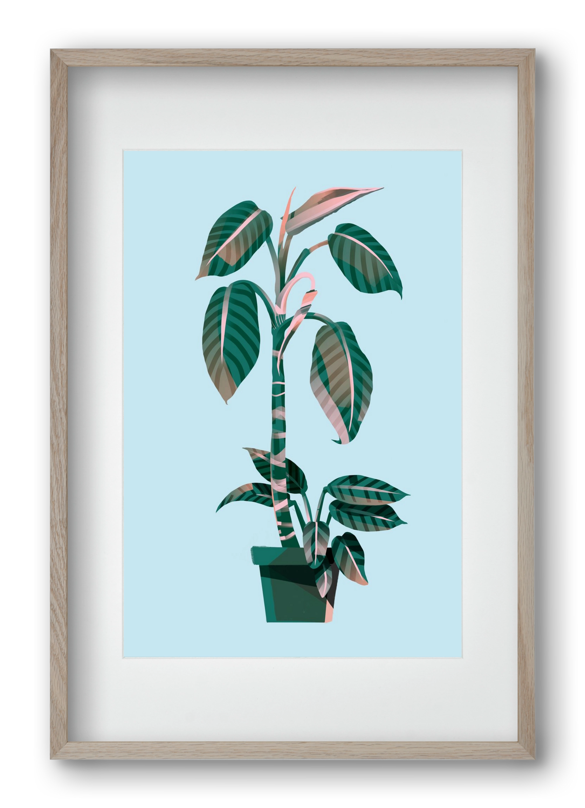 evergreen 01, 40x60 cm (30x45 cm), Tölgy keret, paszpartuval