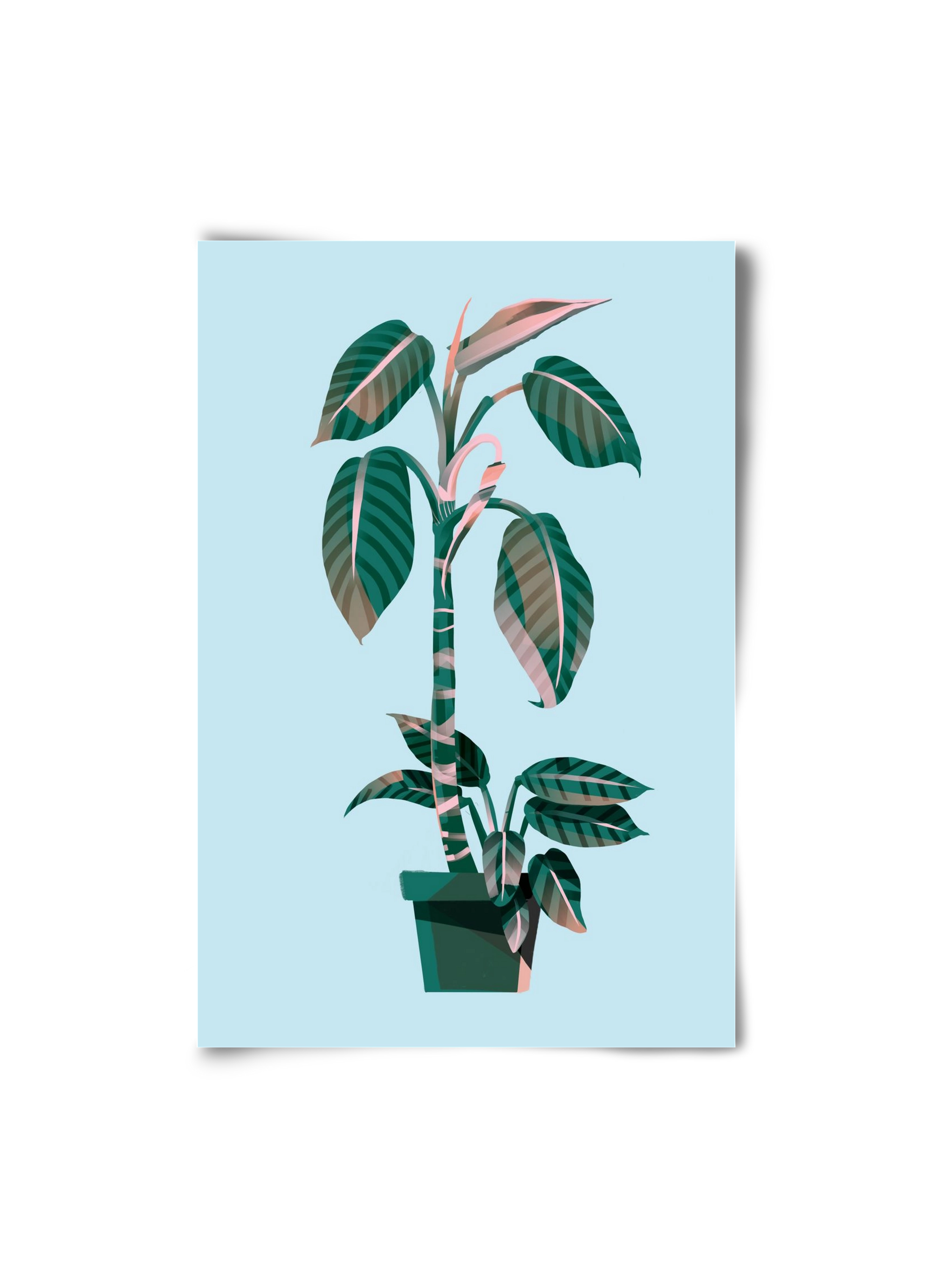 evergreen 01, 20x30 cm, Keret nélkül