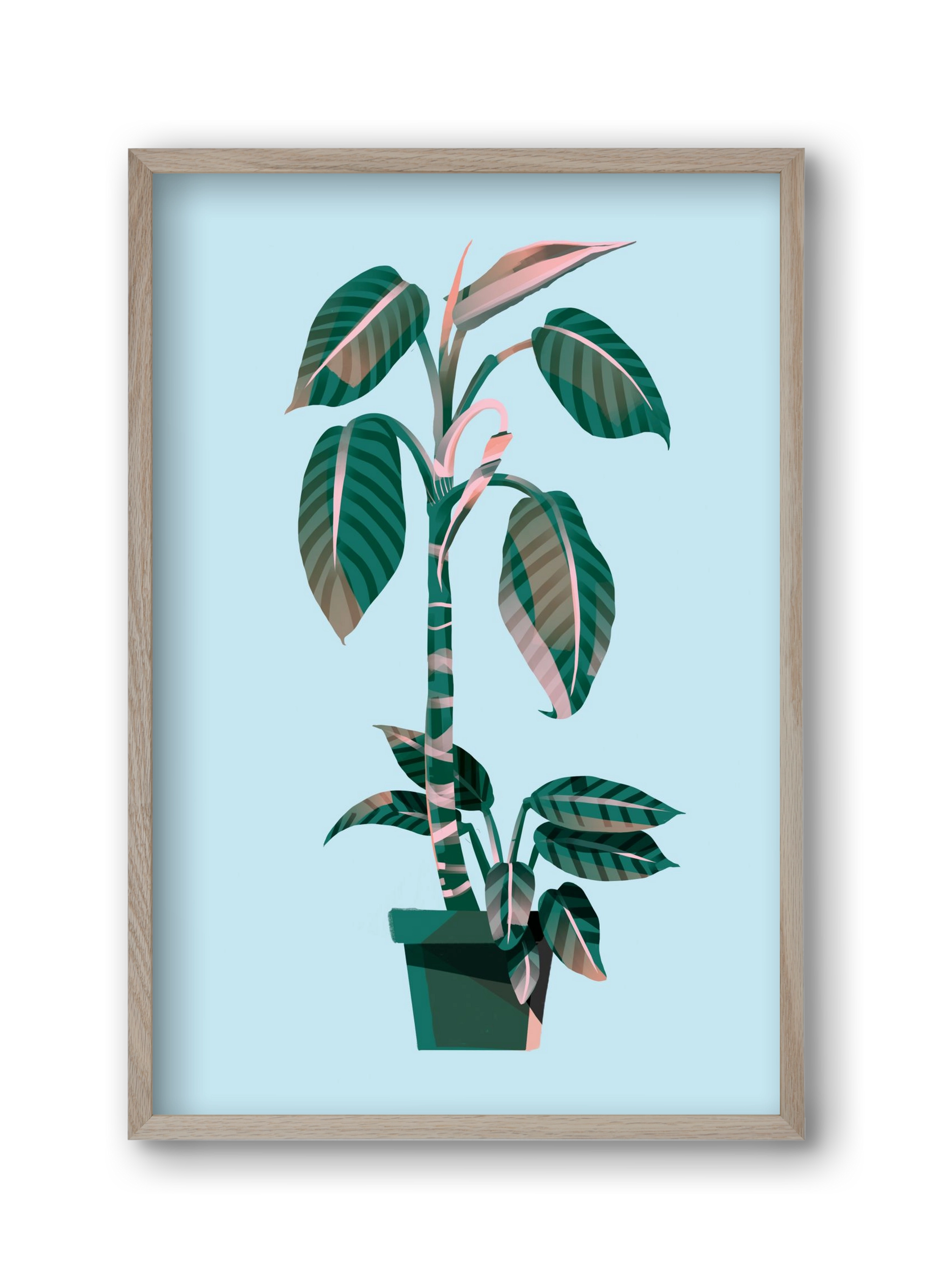 evergreen 01, 30x45 cm (30x45 cm), Tölgy keret