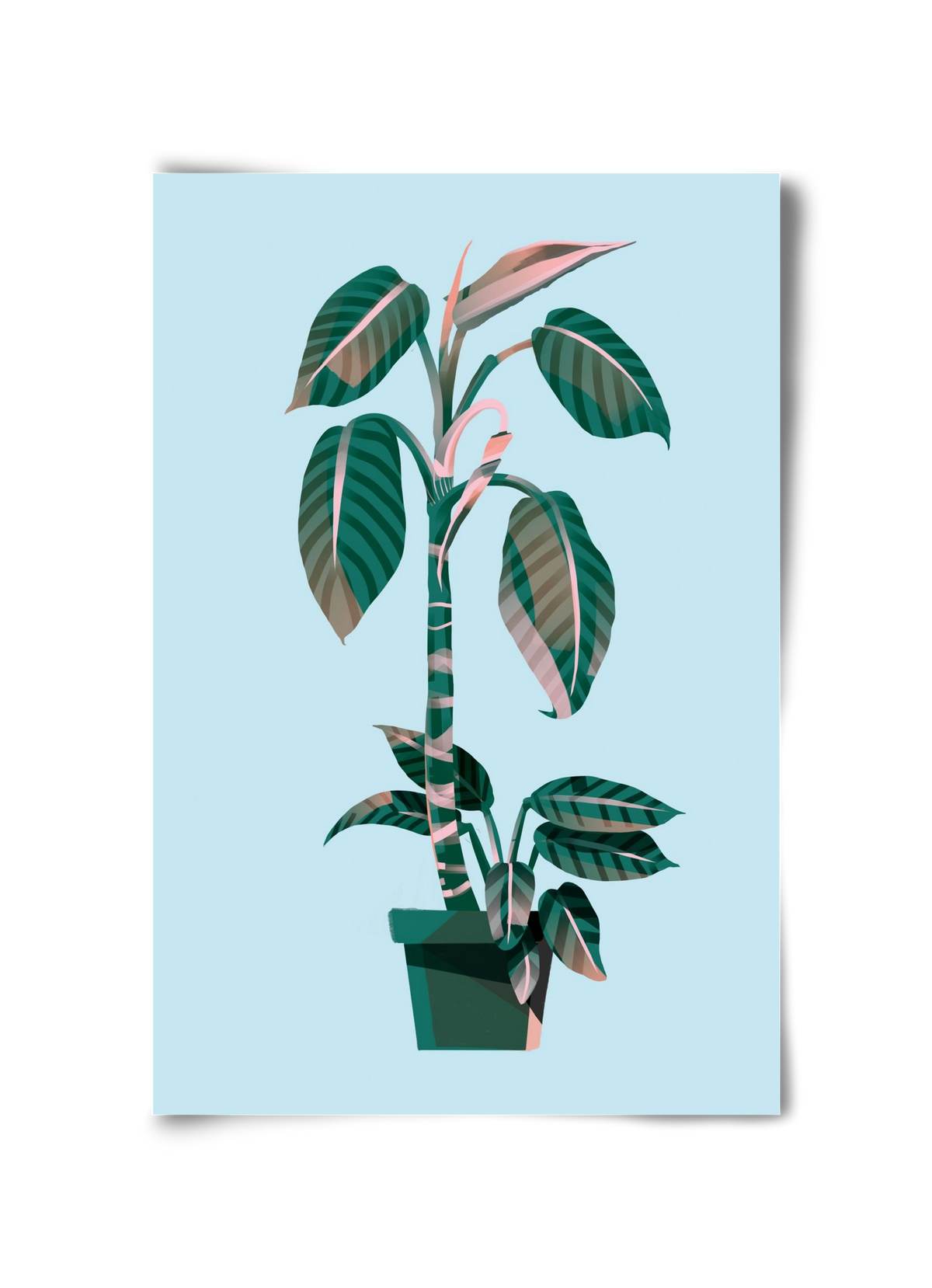 evergreen 01, 30x45 cm, Keret nélkül