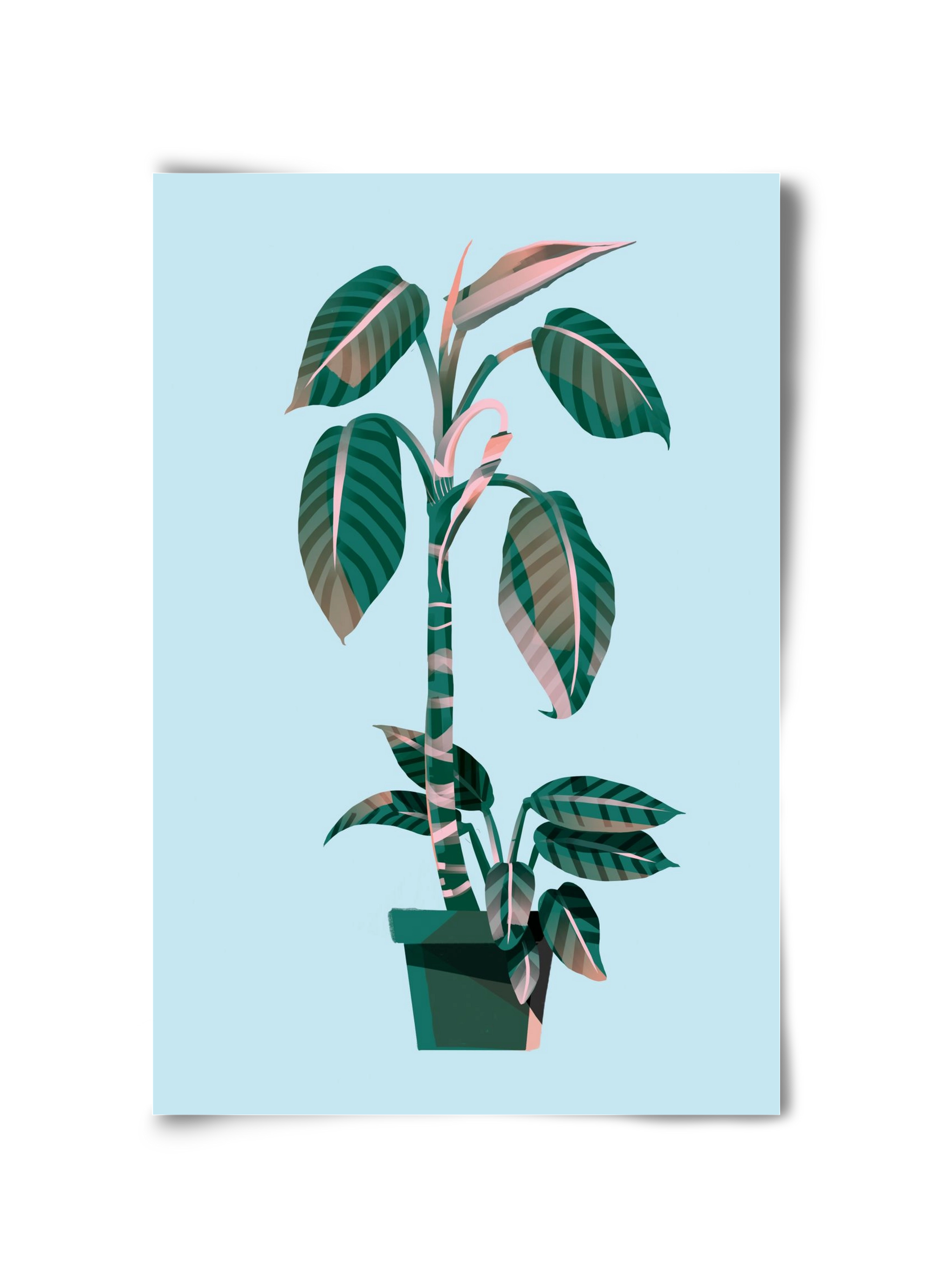 evergreen 01, 30x45 cm, Keret nélkül