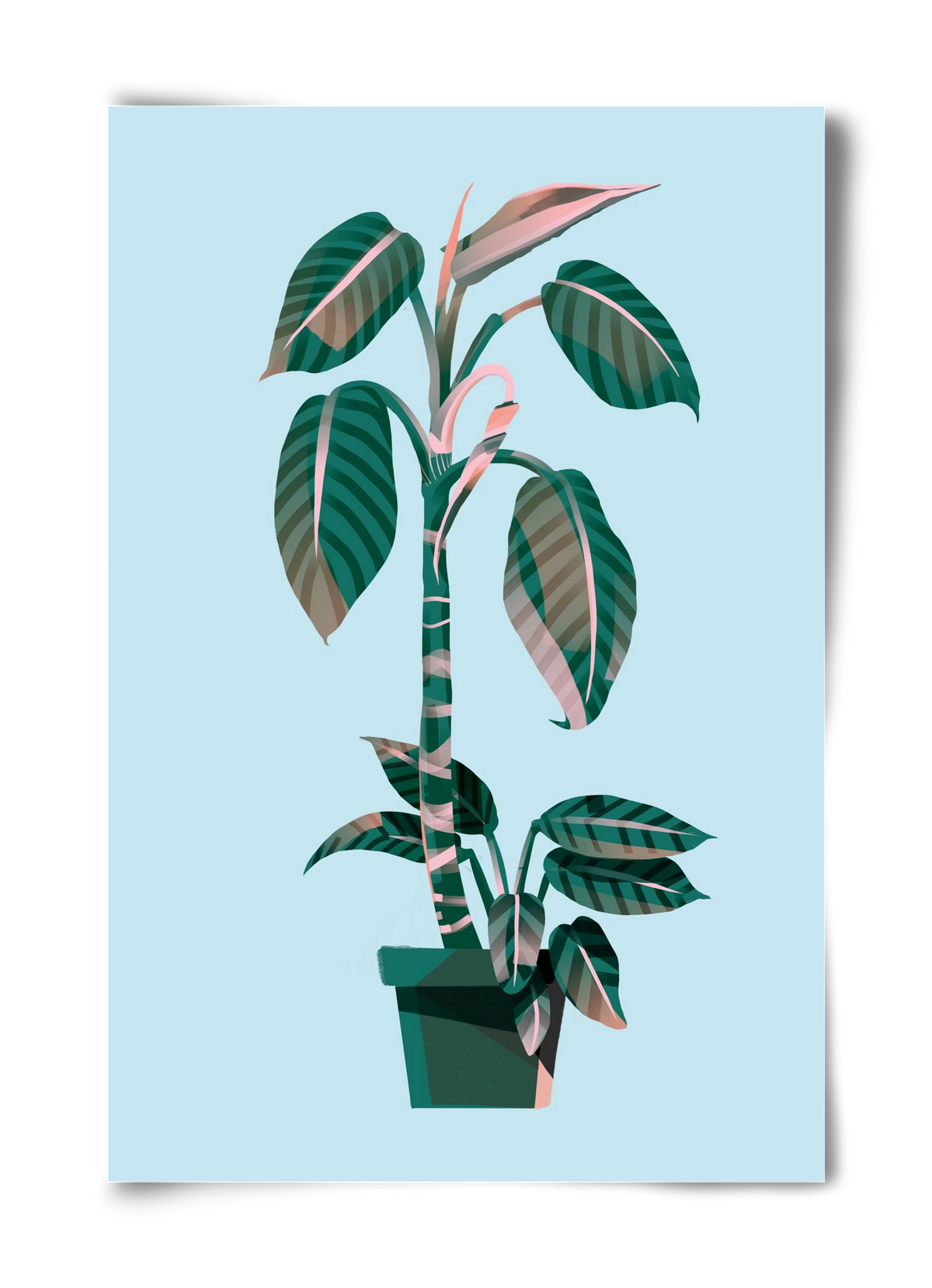 evergreen 01, 40x60 cm, Keret nélkül