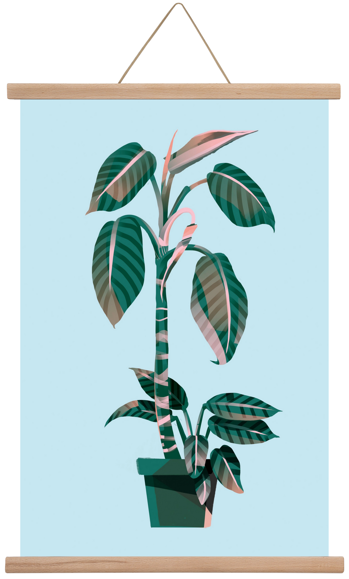 evergreen 01, 40x60 cm (40x60 cm), Tölgy akasztó