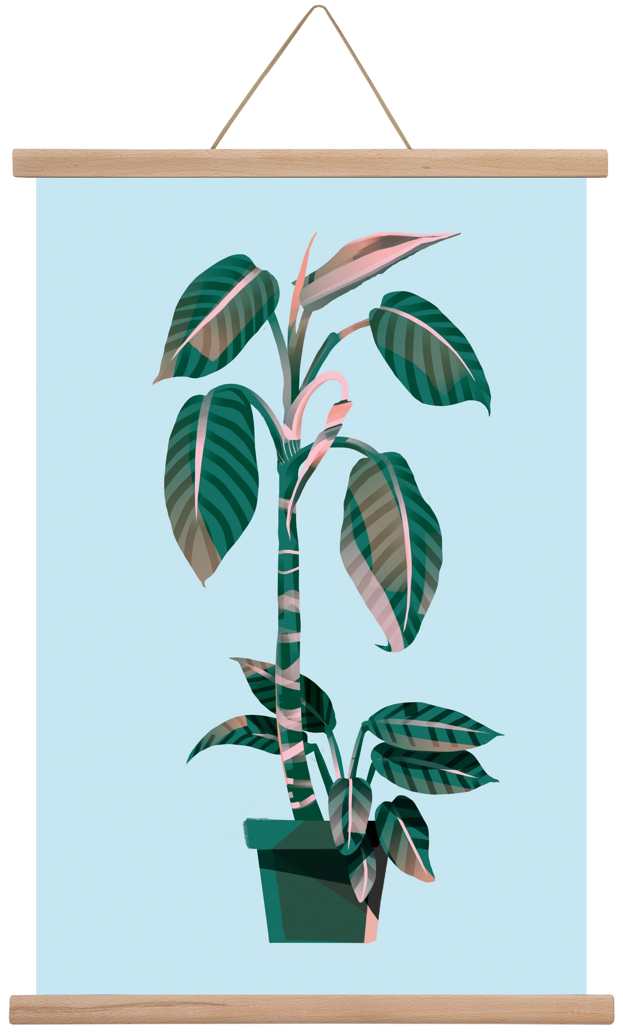 evergreen 01, 40x60 cm (40x60 cm), Tölgy akasztó