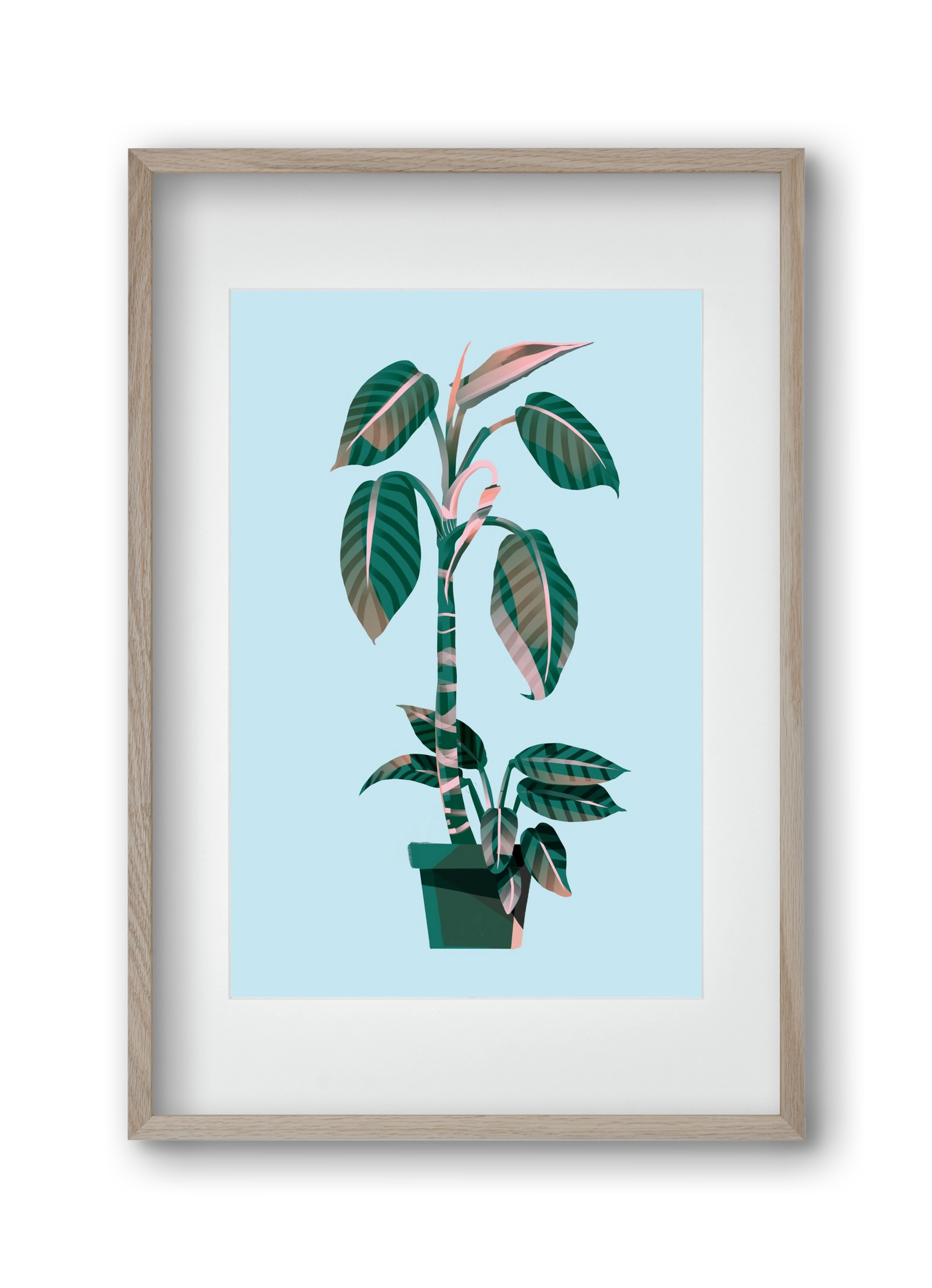 evergreen 01, 30x45 cm (20x30 cm), Tölgy keret, paszpartuval