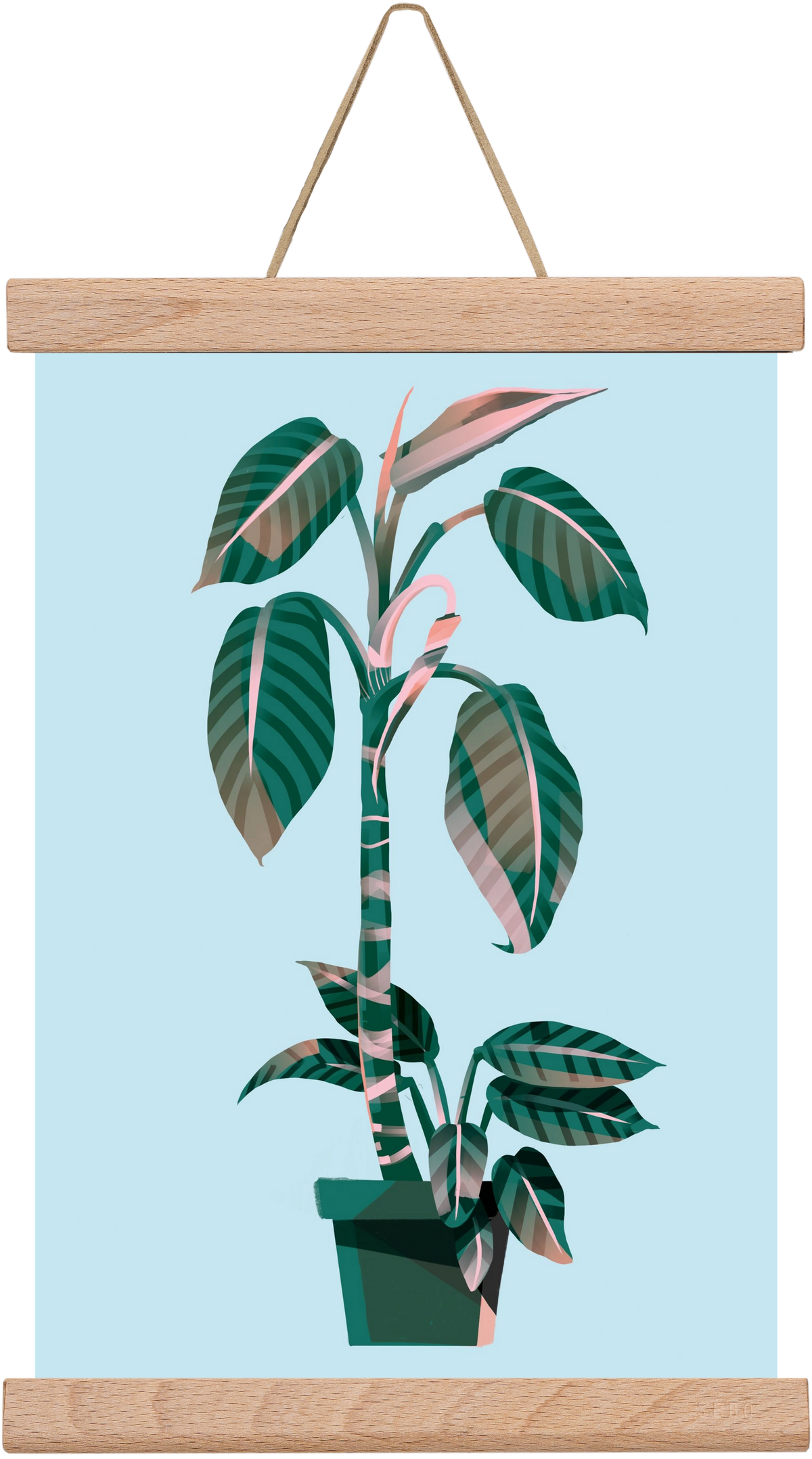 evergreen 01, 20x30 cm (20x30 cm), Tölgy akasztó