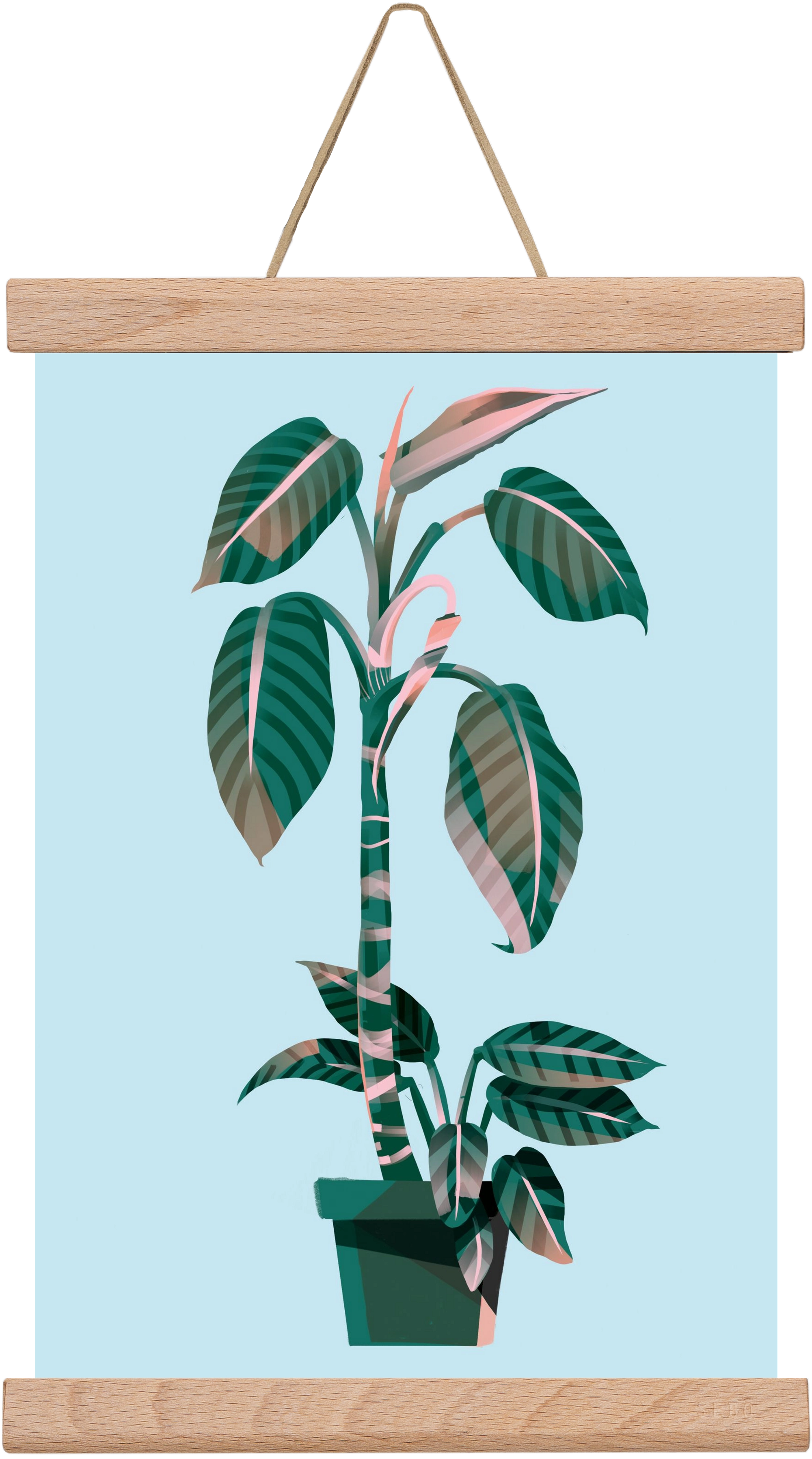 evergreen 01, 20x30 cm (20x30 cm), Tölgy akasztó