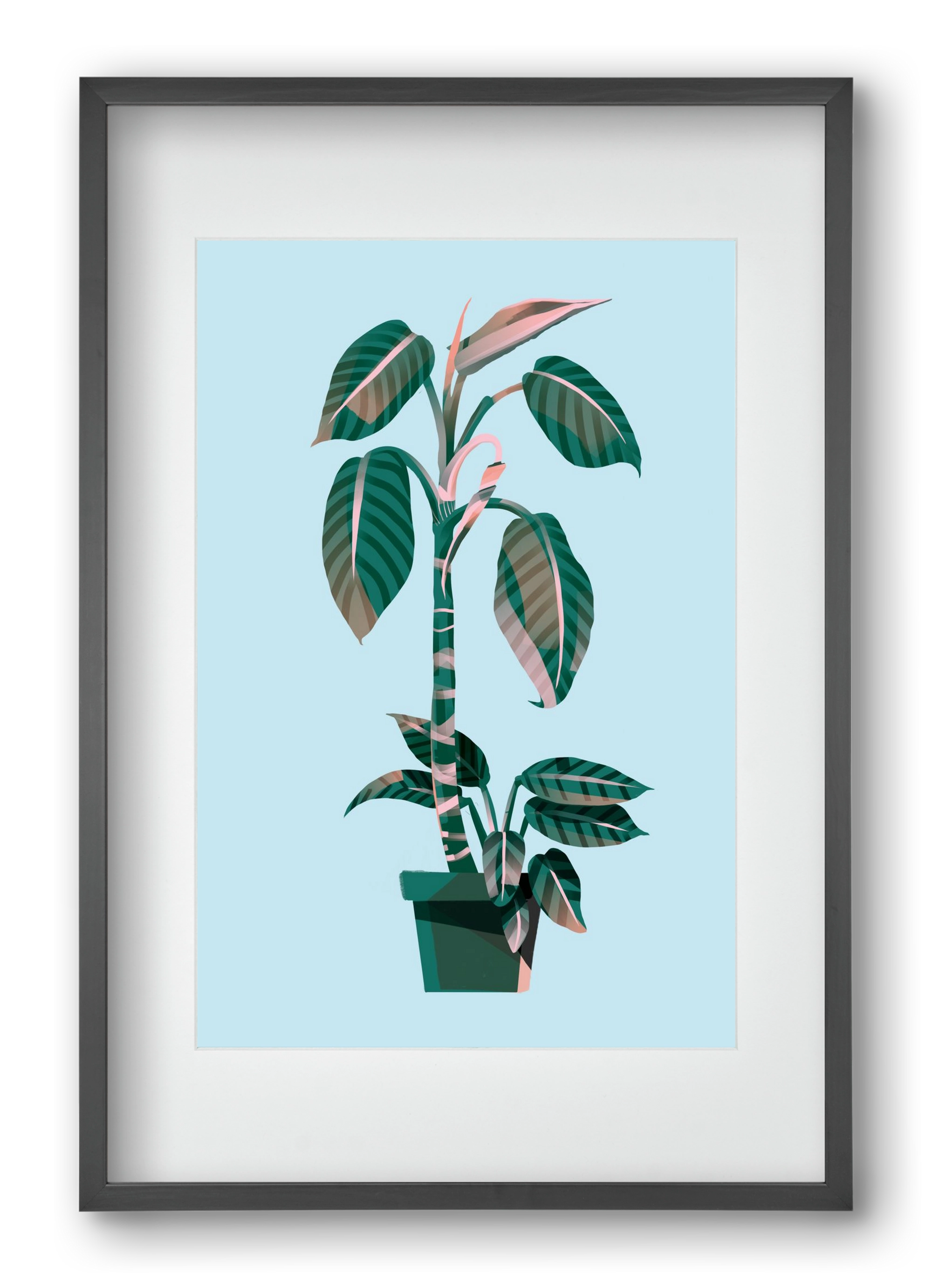 evergreen 01, 40x60 cm (30x45 cm), Fekete keret, paszpartuval