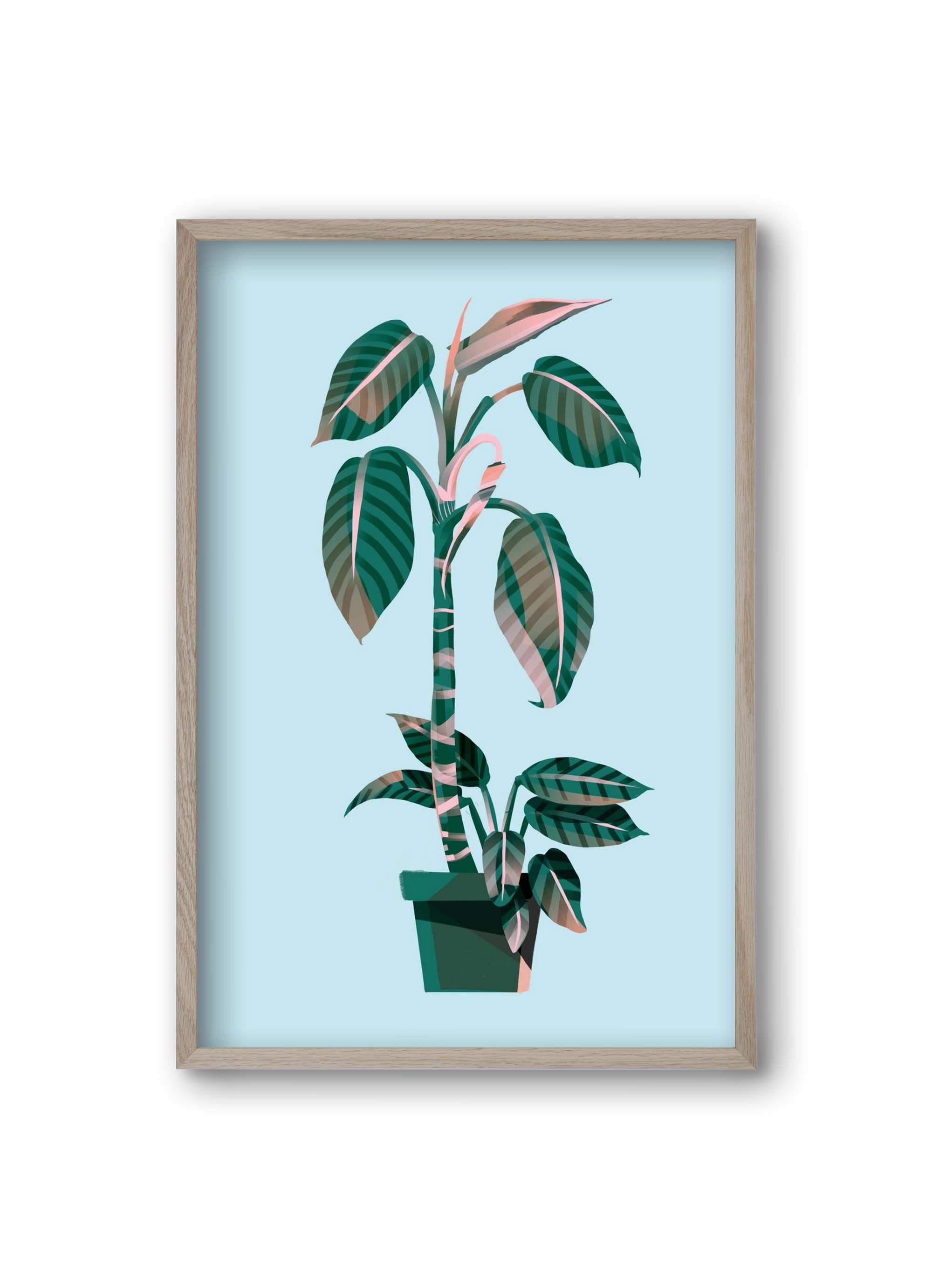 evergreen 01, 20x30 cm (20x30 cm), Tölgy keret