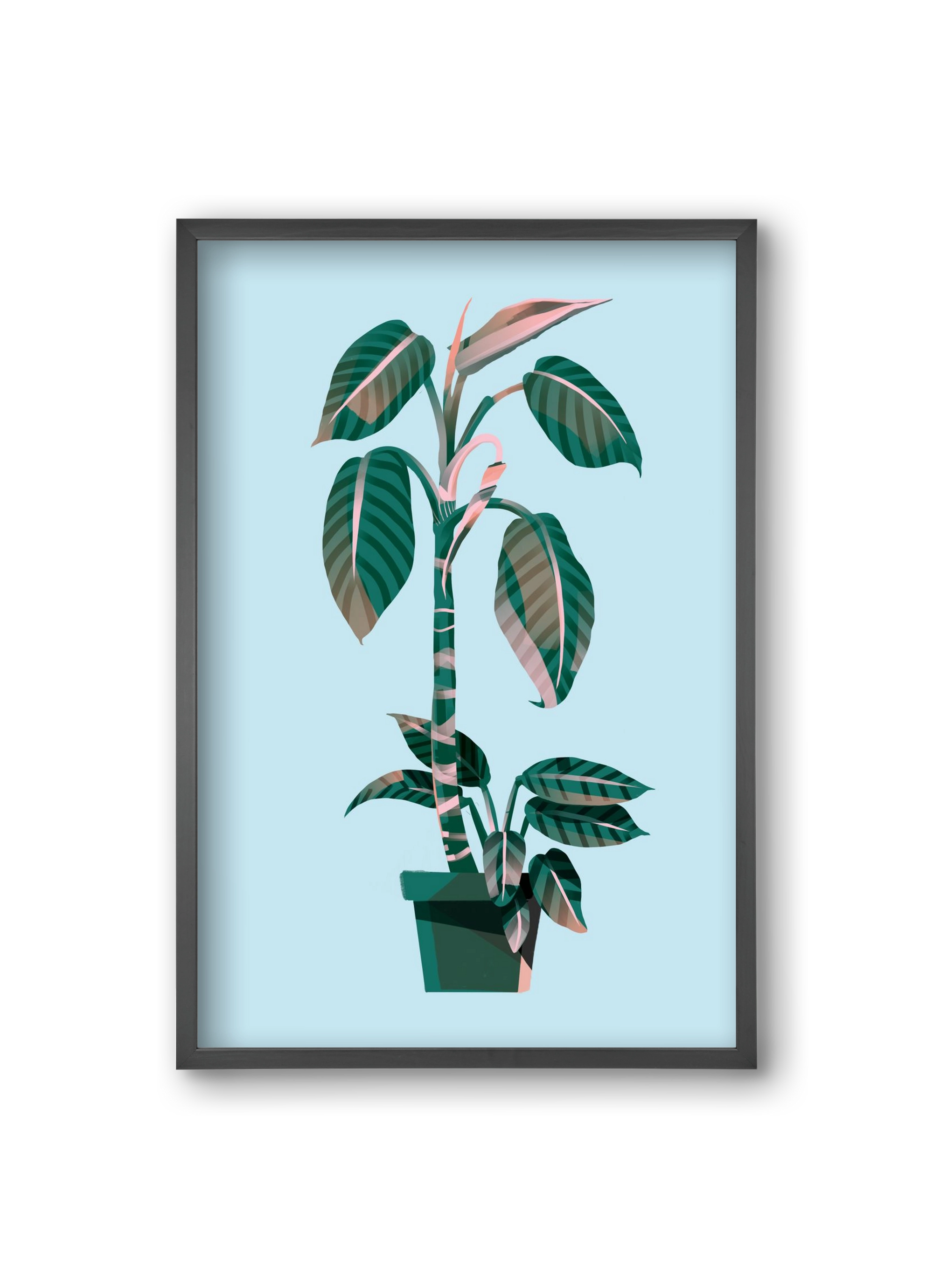 evergreen 01, 20x30 cm (20x30 cm), Fekete keret