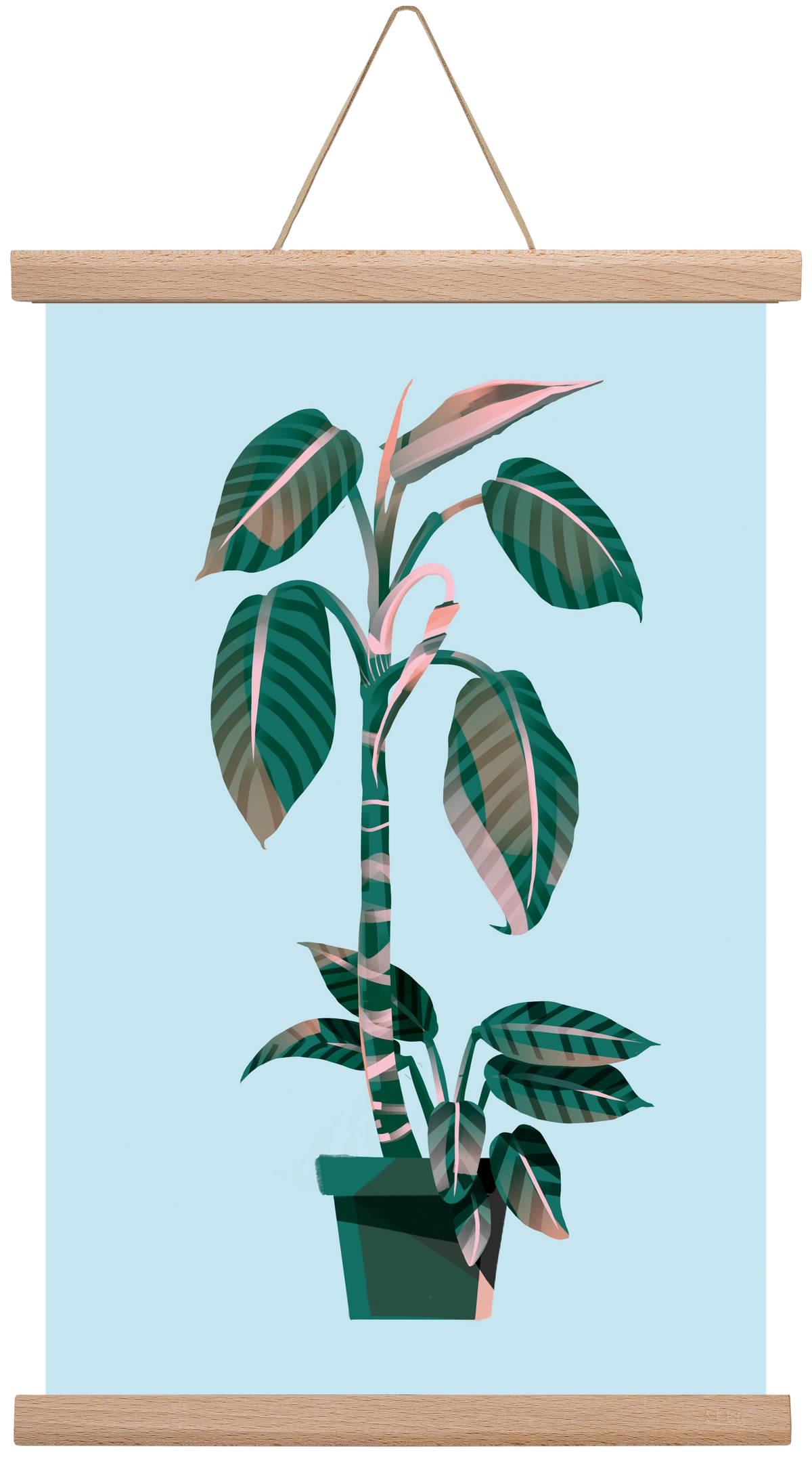 evergreen 01, 30x45 cm (30x45 cm), Tölgy akasztó