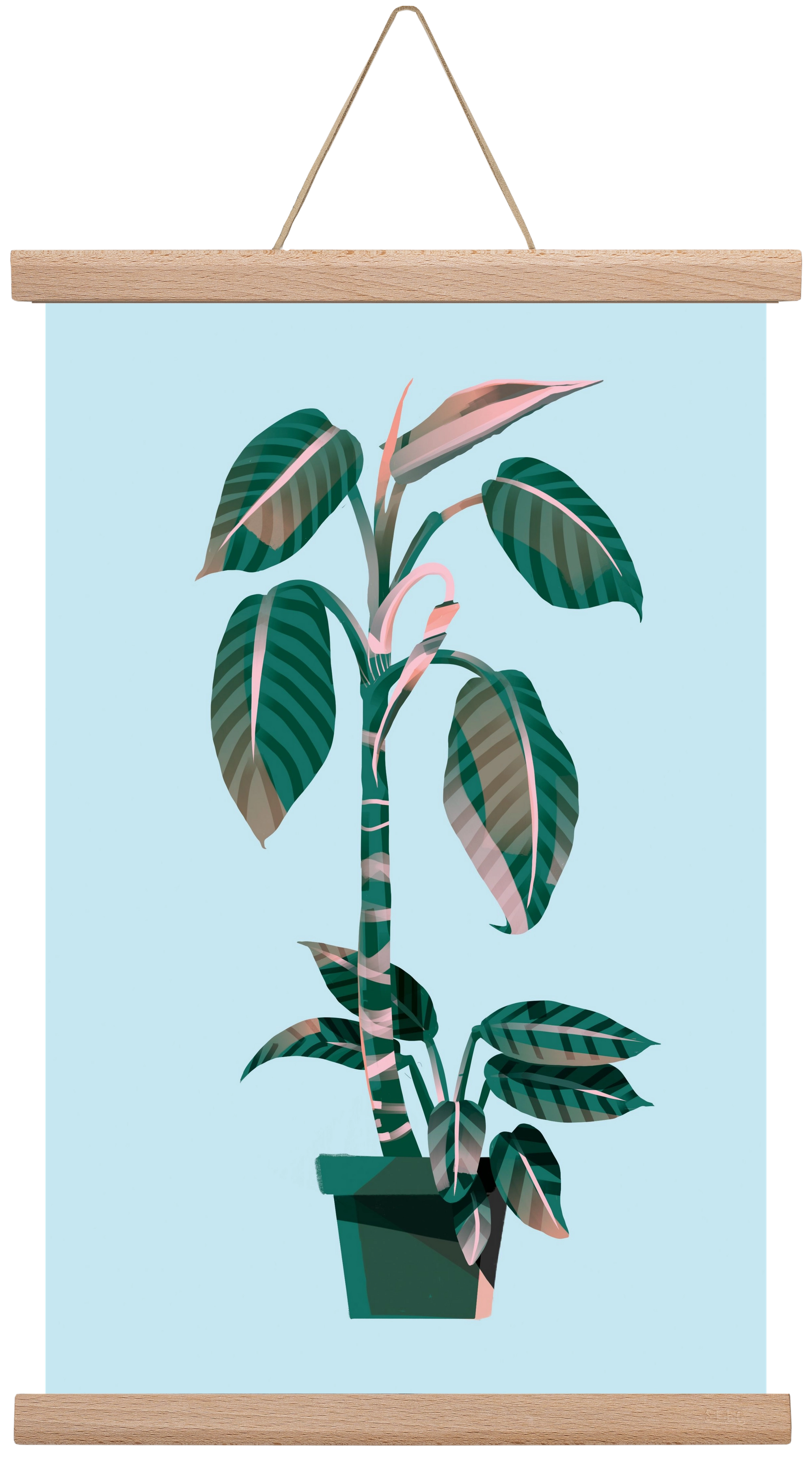 evergreen 01, 30x45 cm (30x45 cm), Tölgy akasztó