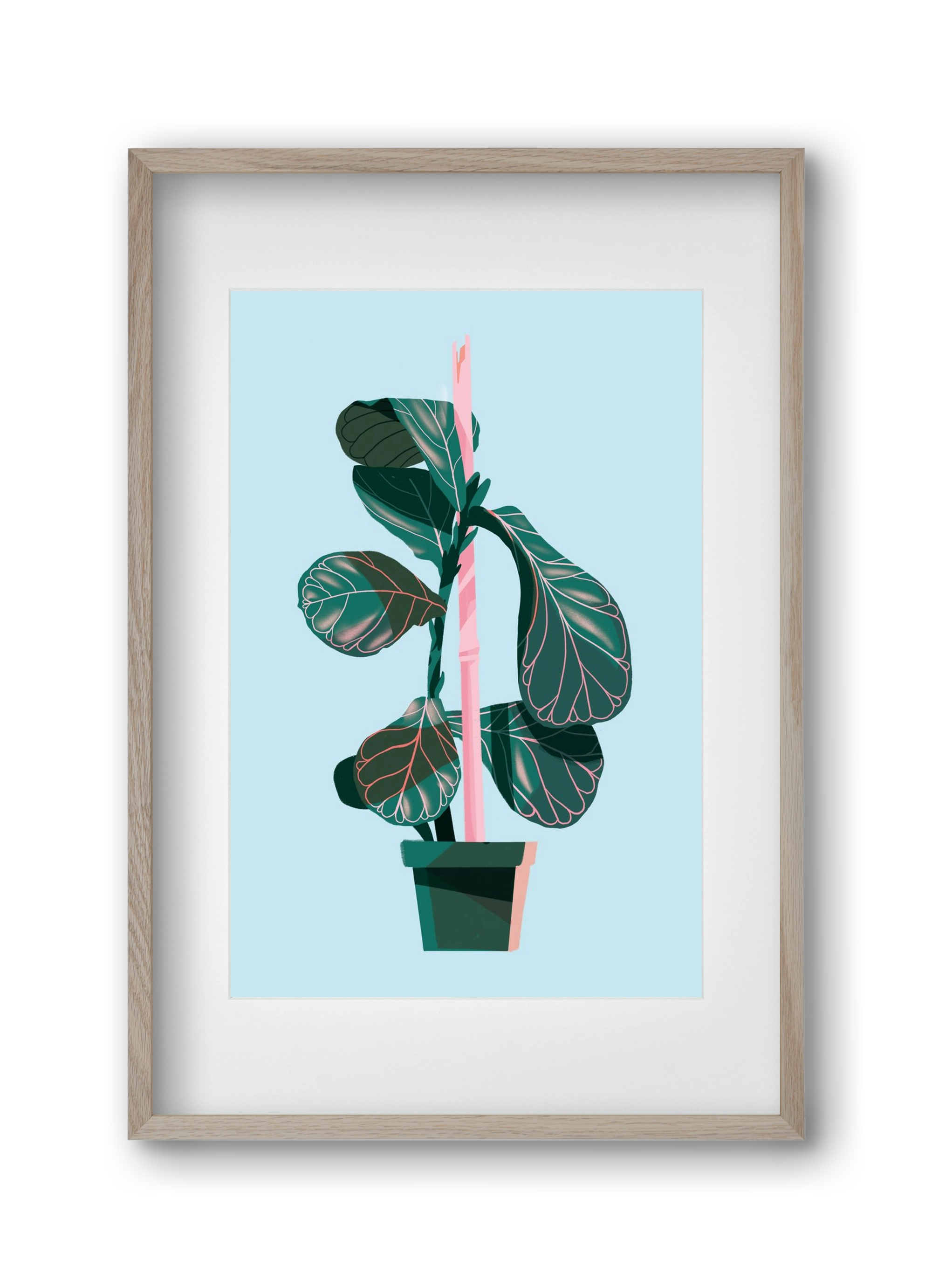 evergreen 02, 30x45 cm (20x30 cm), Tölgy keret, paszpartuval