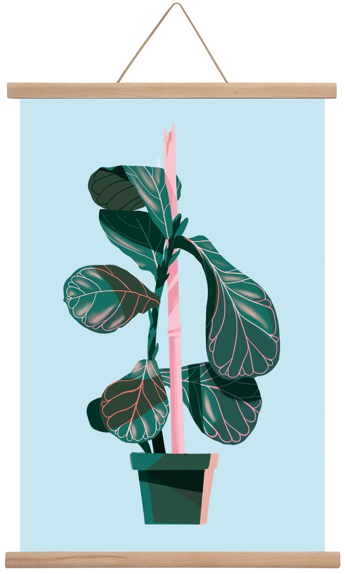 evergreen 02, 40x60 cm (40x60 cm), Tölgy akasztó