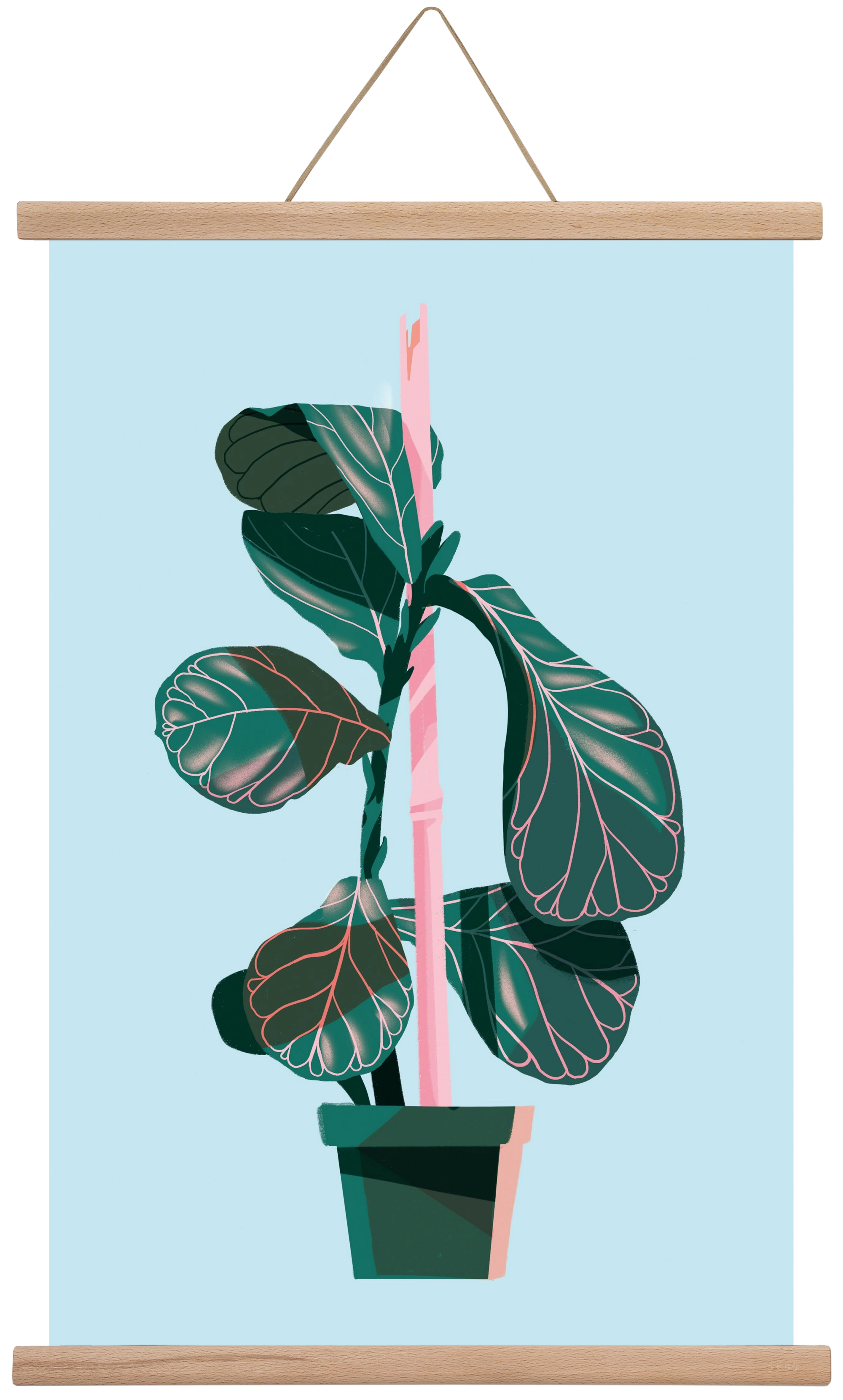 evergreen 02, 40x60 cm (40x60 cm), Tölgy akasztó