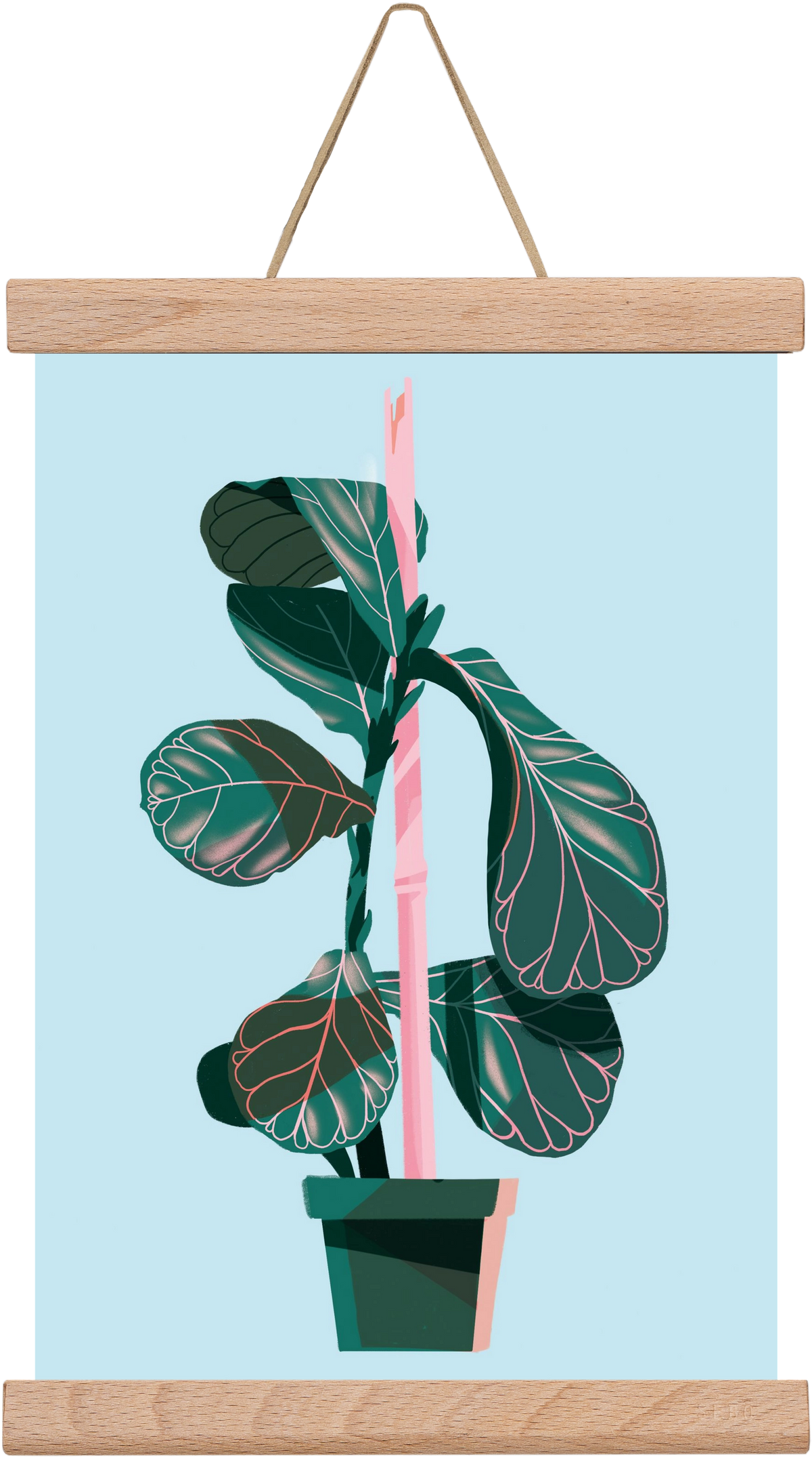 evergreen 02, 20x30 cm (20x30 cm), Tölgy akasztó