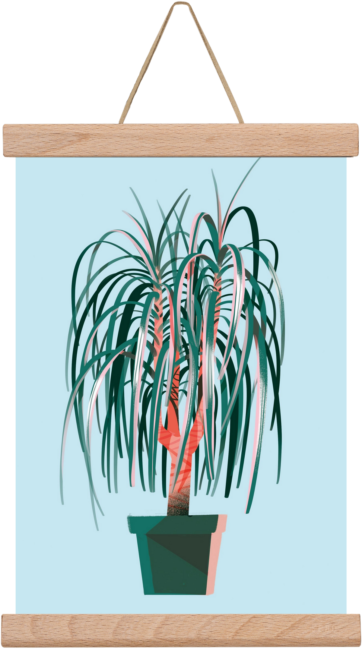 evergreen 03, 20x30 cm (20x30 cm), Tölgy akasztó