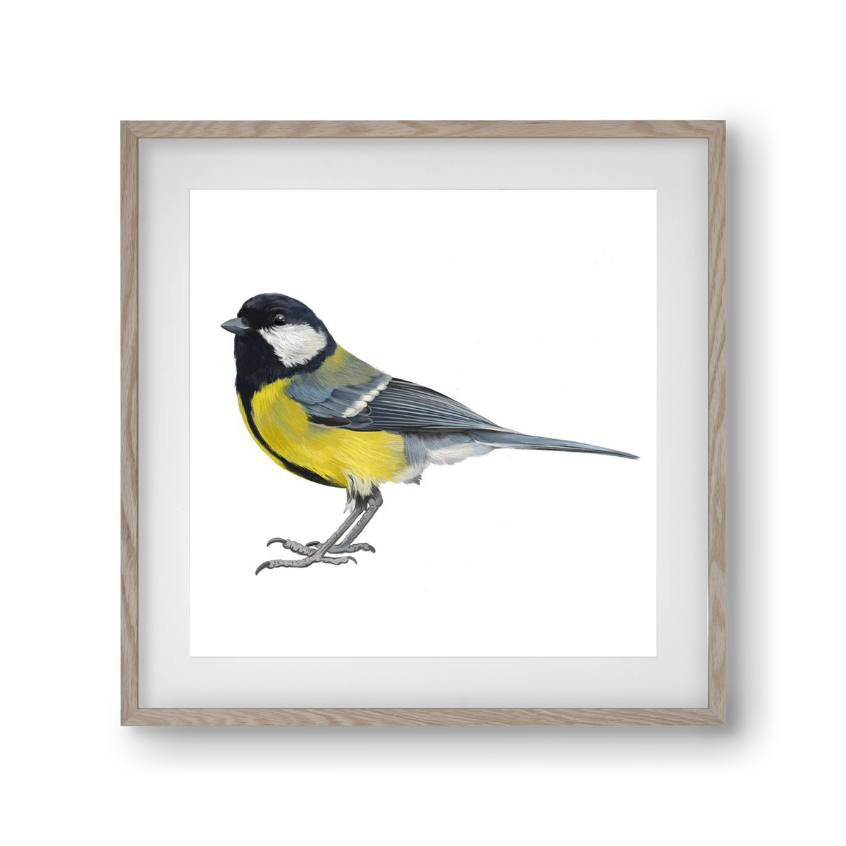 Széncinege, 30x30 cm (20x20 cm), Tölgy keret, paszpartuval