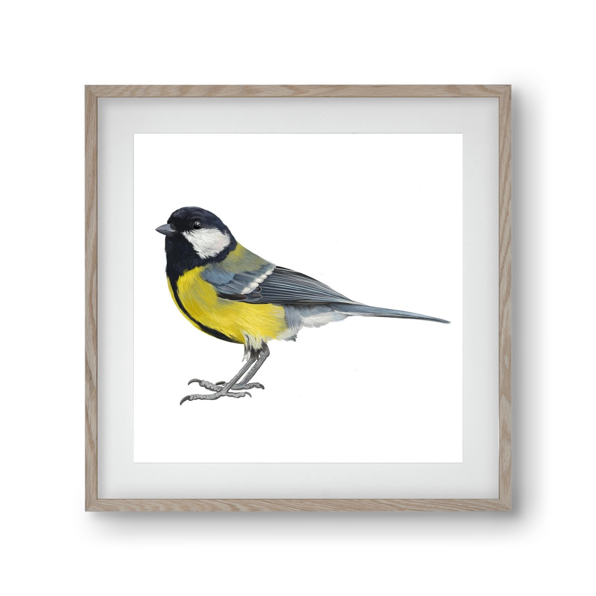 Széncinege, 30x30 cm (20x20 cm), Tölgy keret, paszpartuval