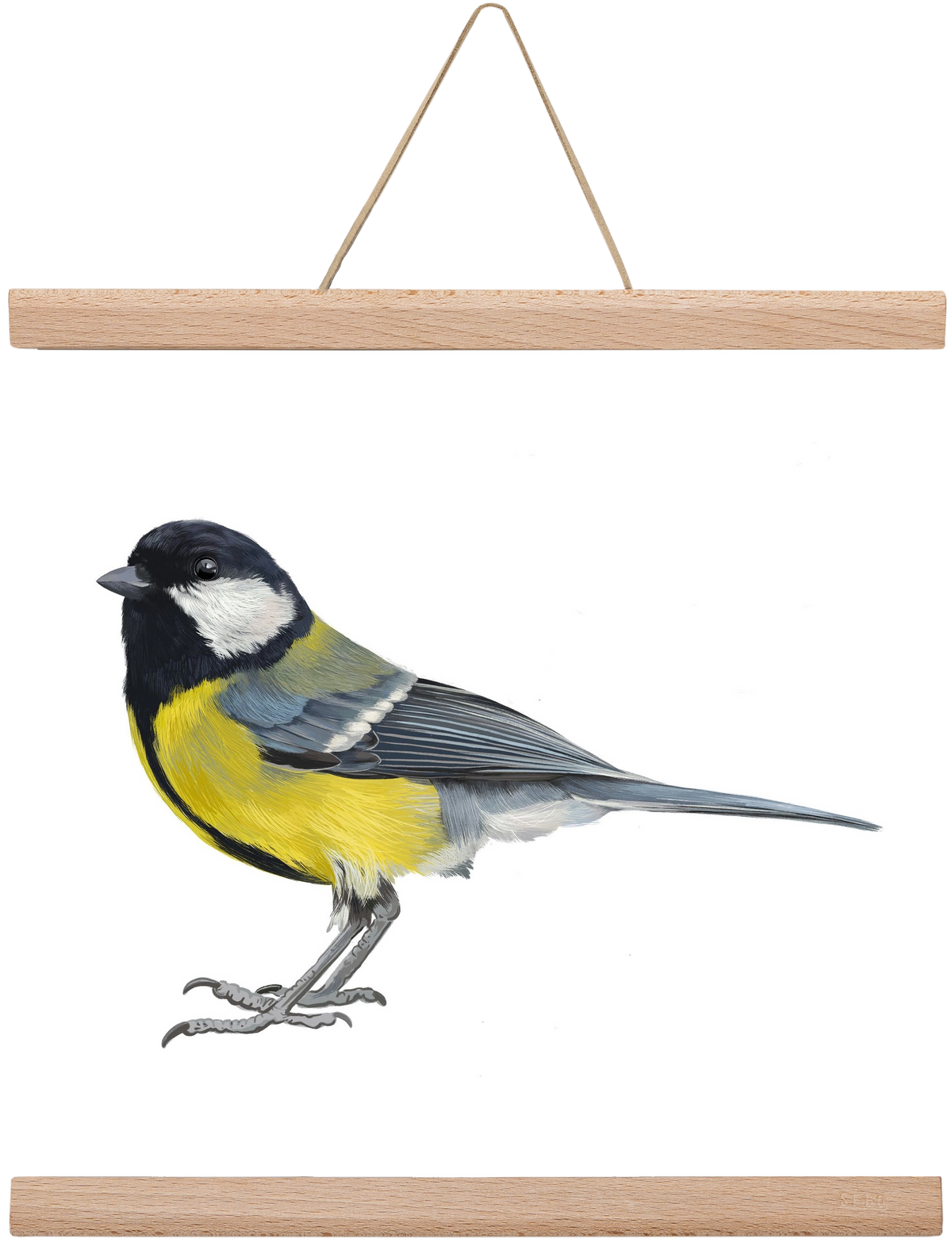 Széncinege, 30x30 cm (30x30 cm), Tölgy akasztó