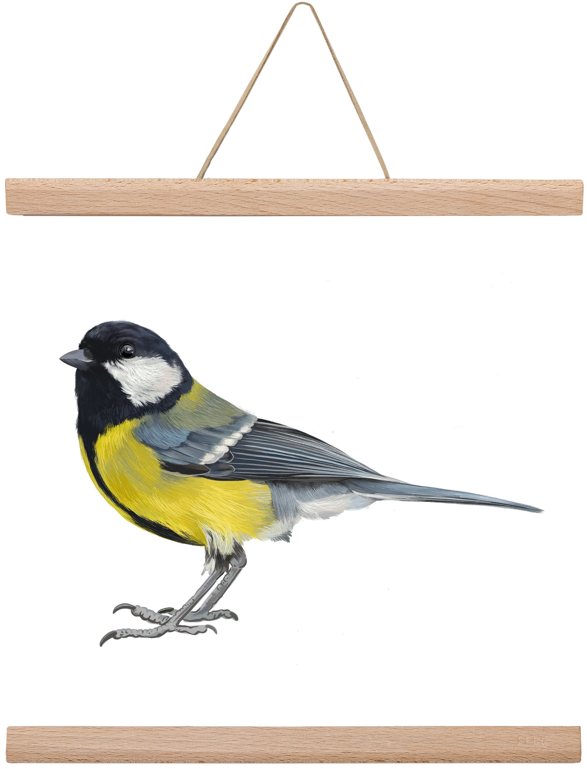 Széncinege, 30x30 cm (30x30 cm), Tölgy akasztó