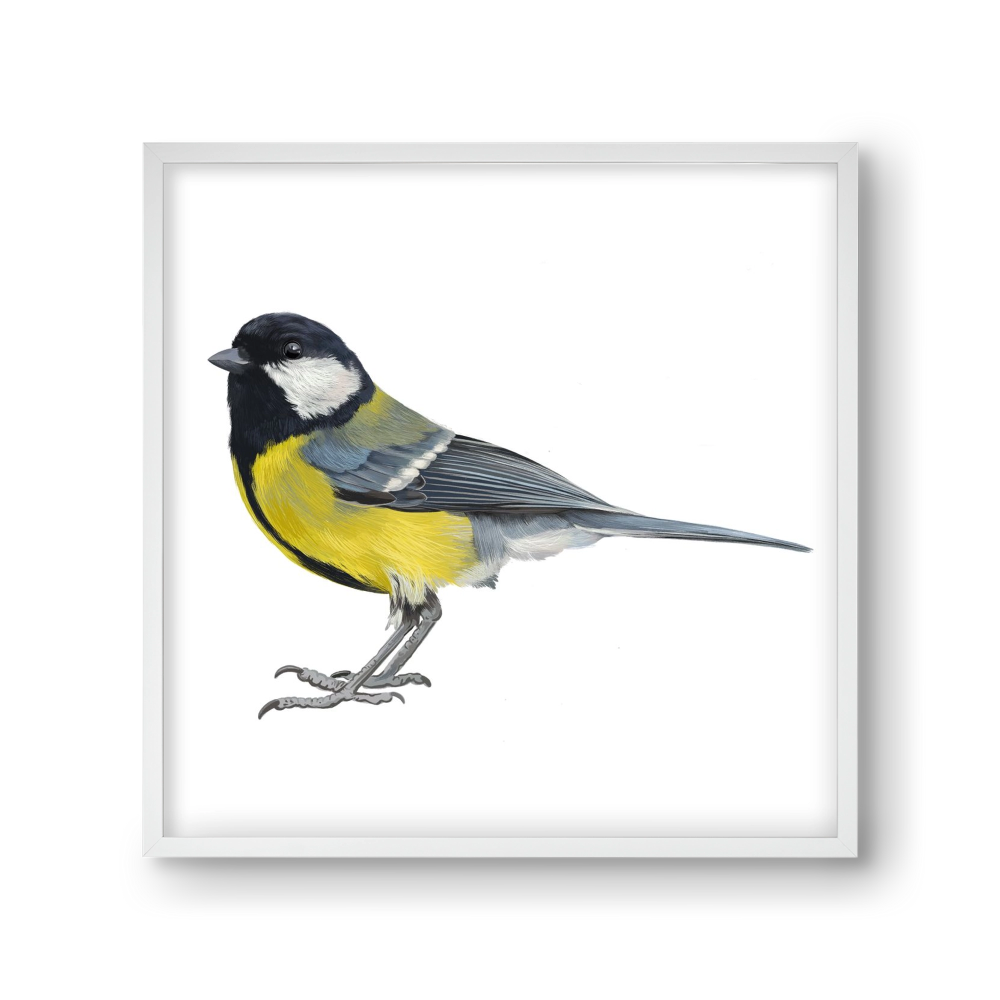 Széncinege, 30x30 cm (30x30 cm), Fehér keret