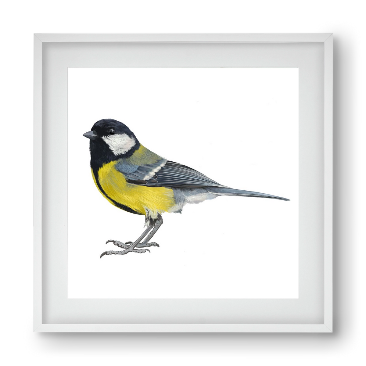 Széncinege, 40x40 cm (30x30 cm), Fehér keret, paszpartuval