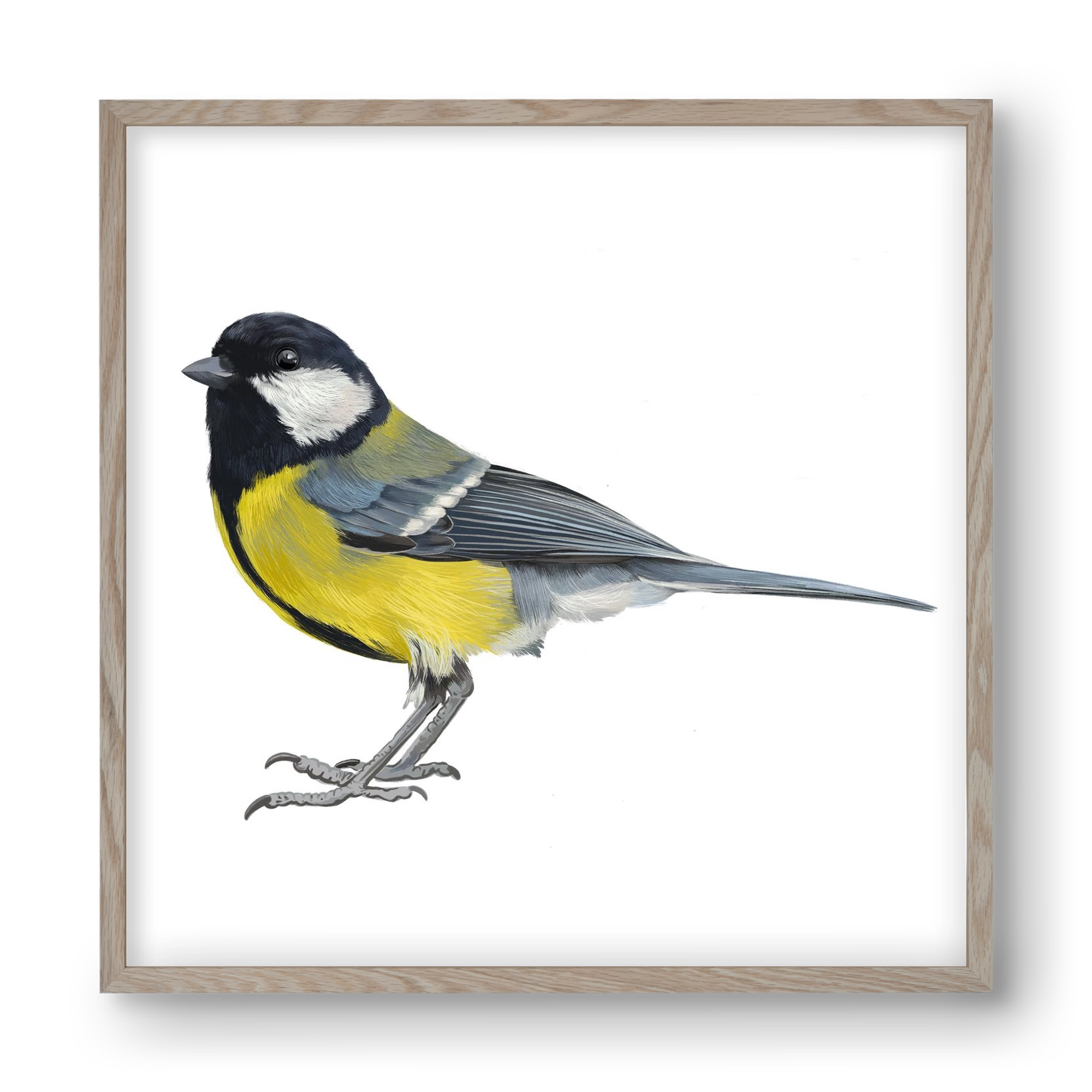 Széncinege, 40x40 cm (40x40 cm), Tölgy keret