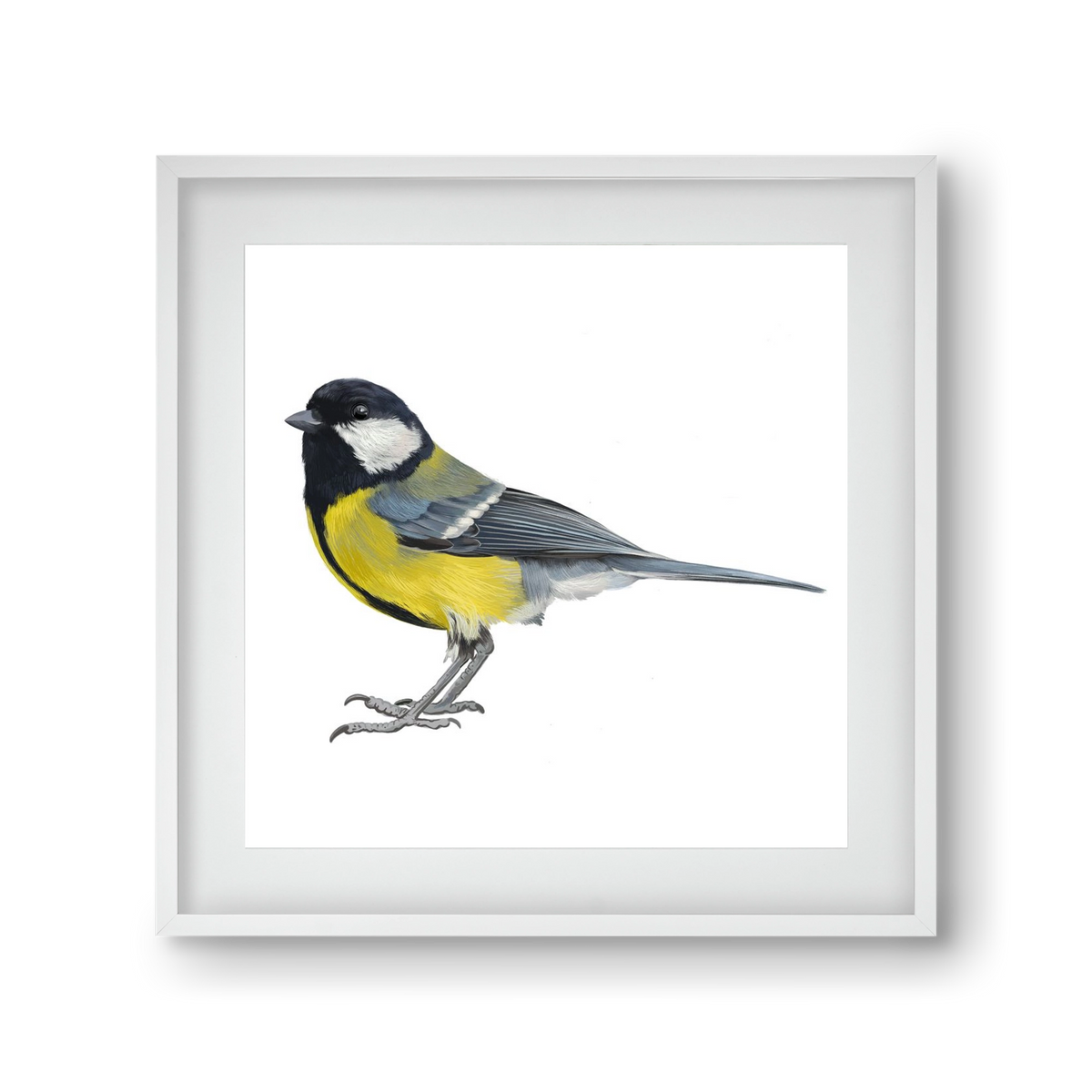 Széncinege, 30x30 cm (20x20 cm), Fehér keret, paszpartuval