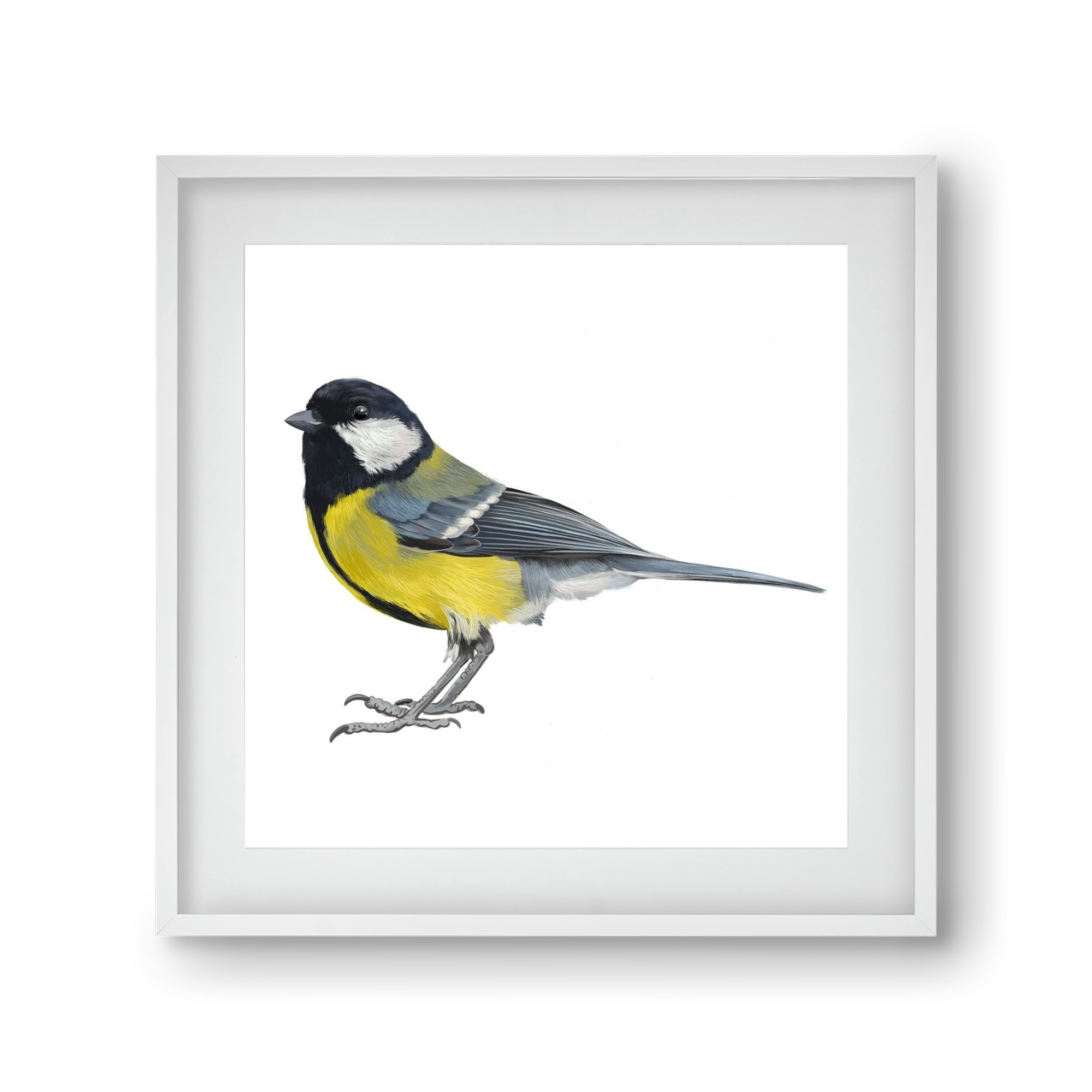 Széncinege, 30x30 cm (20x20 cm), Fehér keret, paszpartuval