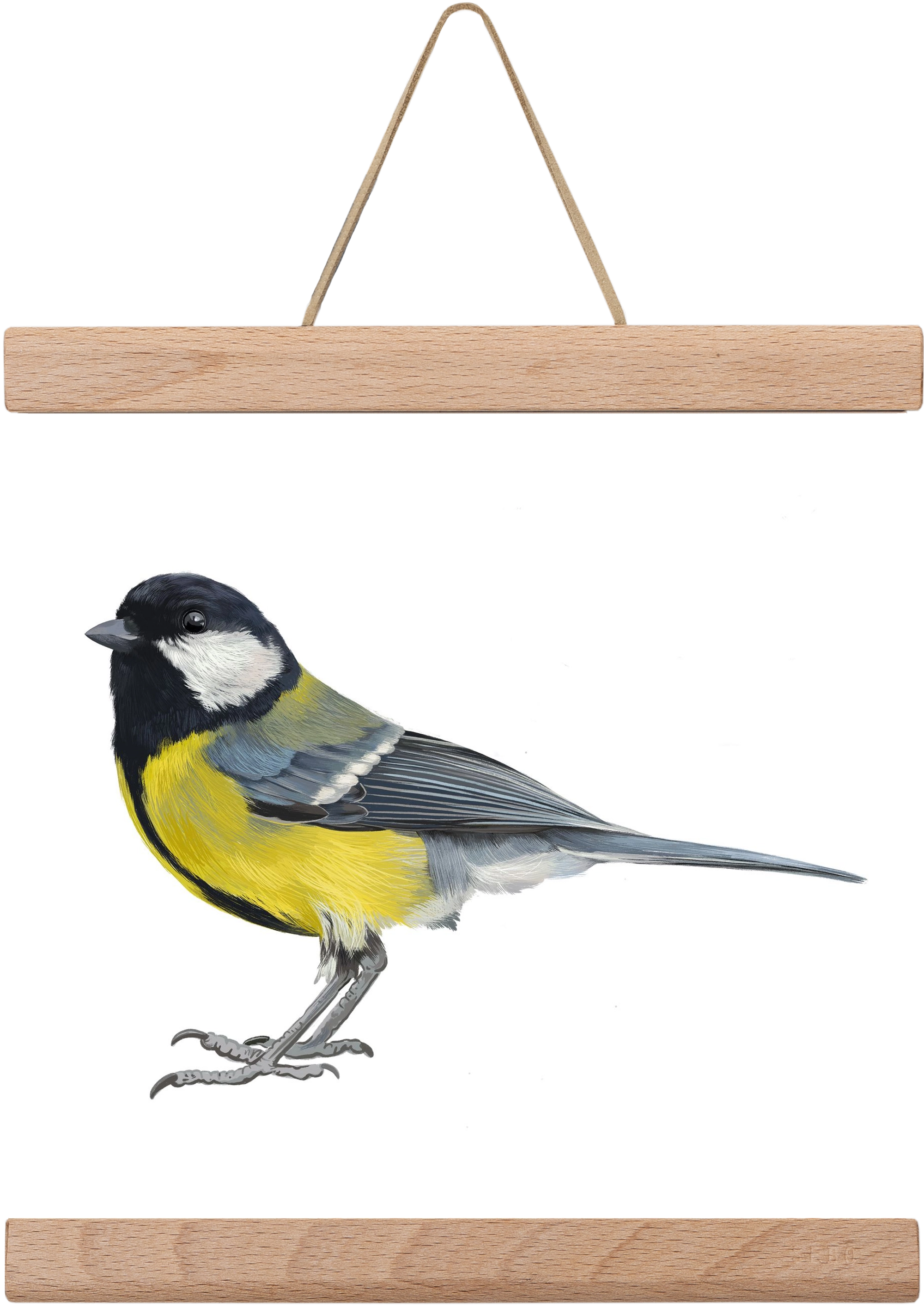 Széncinege, 20x20 cm (20x20 cm), Tölgy akasztó