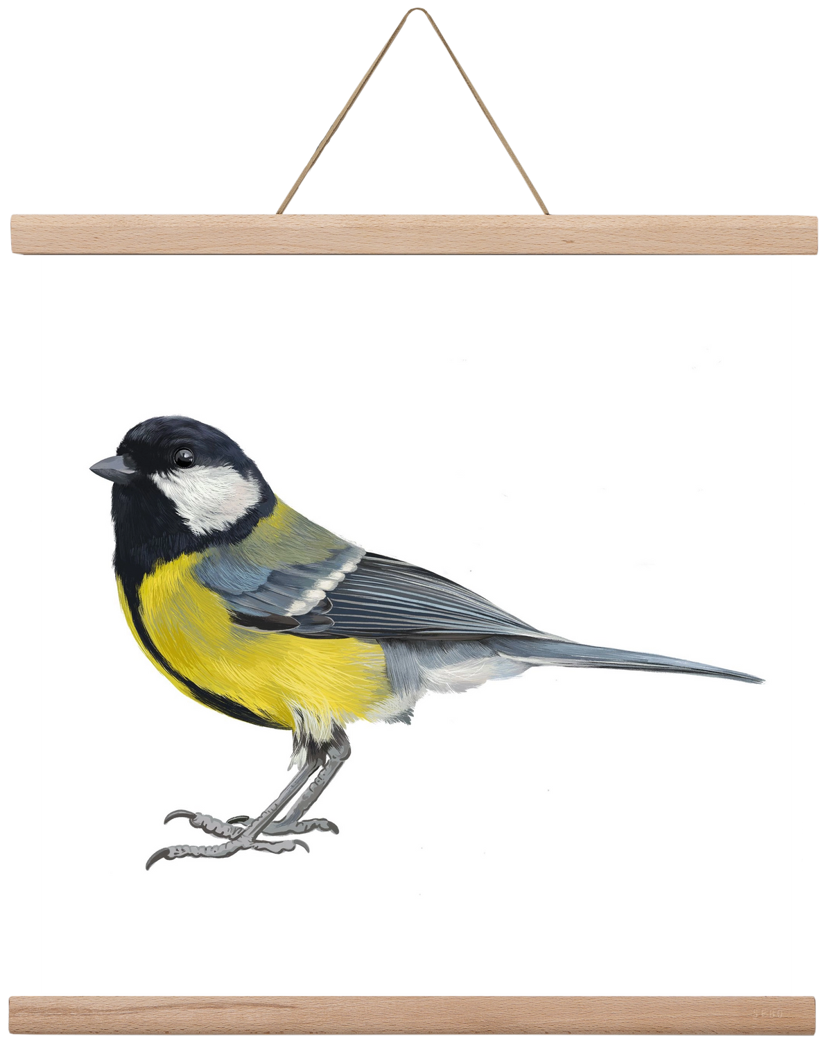 Széncinege, 40x40 cm (40x40 cm), Tölgy akasztó