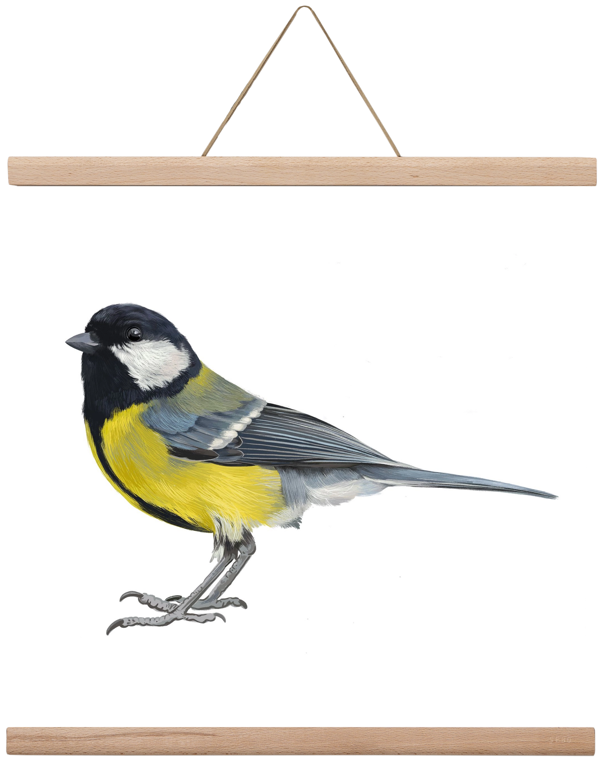 Széncinege, 40x40 cm (40x40 cm), Tölgy akasztó