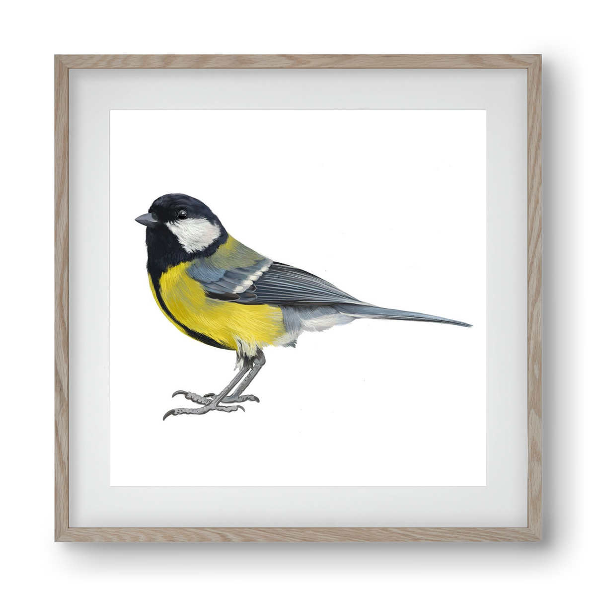 Széncinege, 40x40 cm (30x30 cm), Tölgy keret, paszpartuval