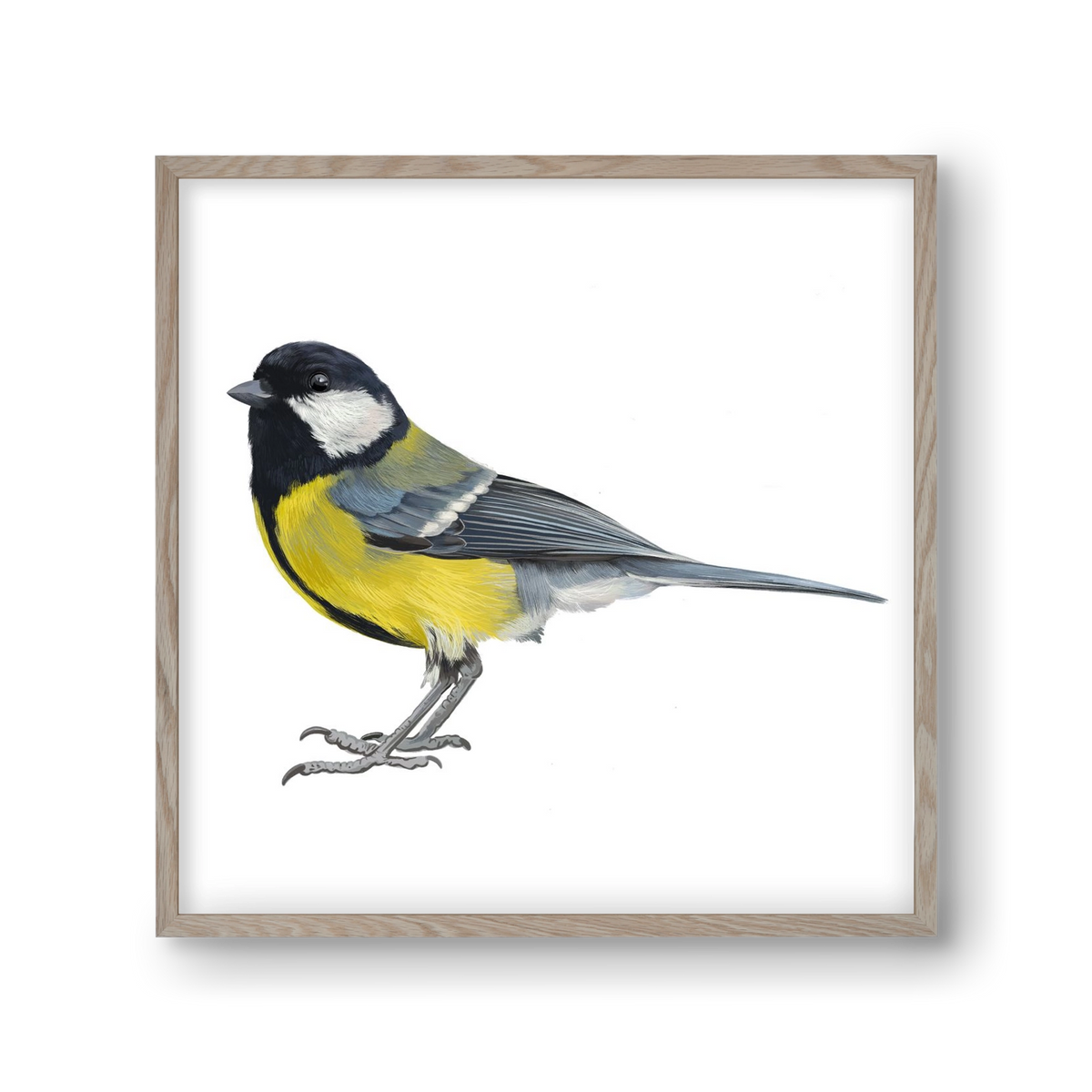 Széncinege, 30x30 cm (30x30 cm), Tölgy keret