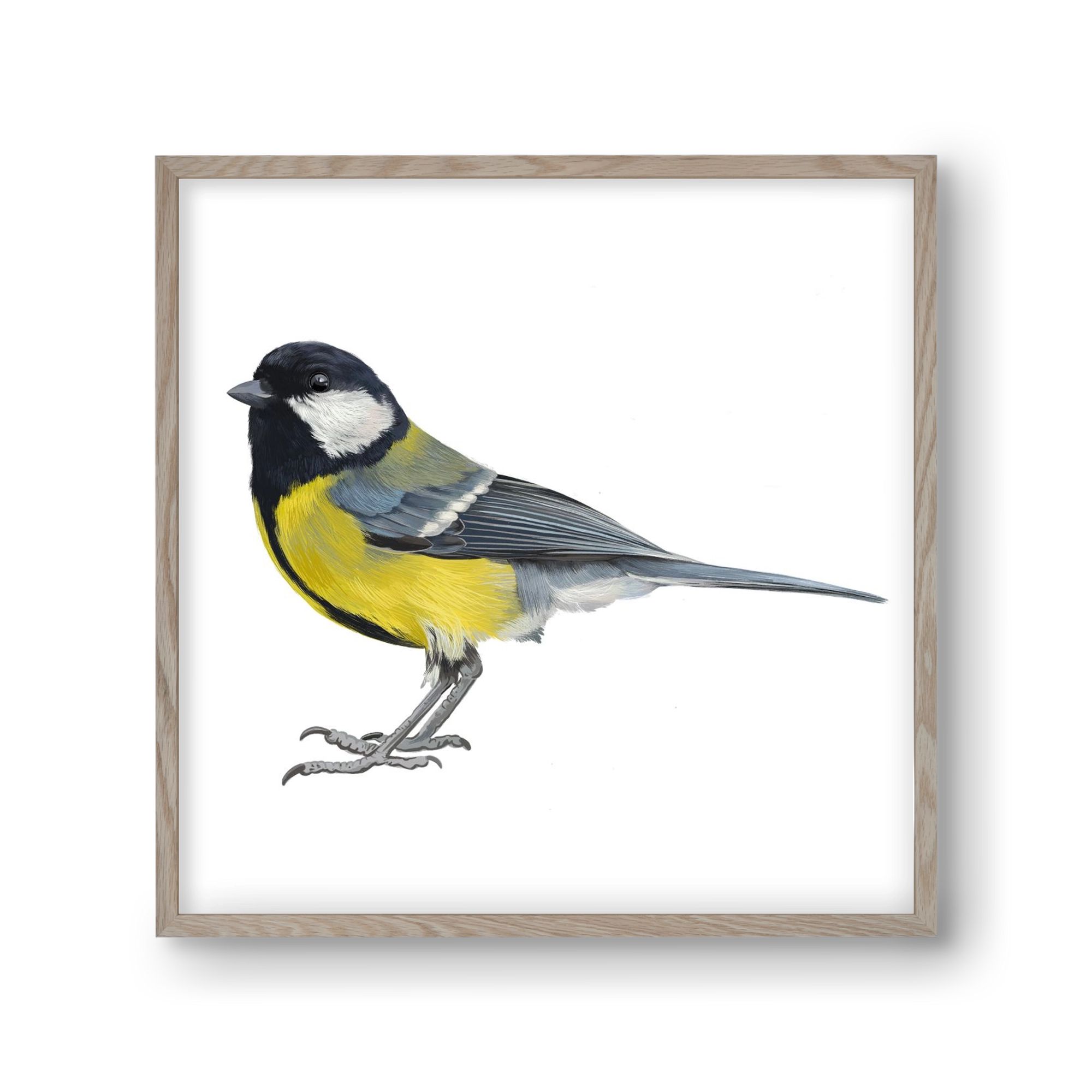 Széncinege, 30x30 cm (30x30 cm), Tölgy keret