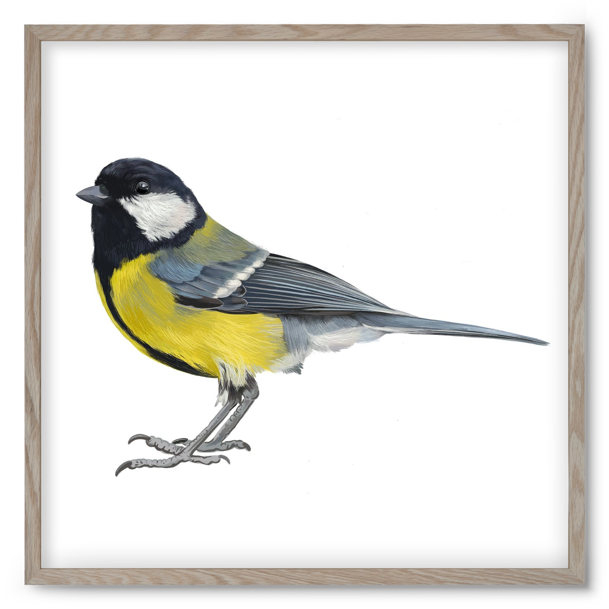 Széncinege, 50x50 cm (50x50 cm), Tölgy keret