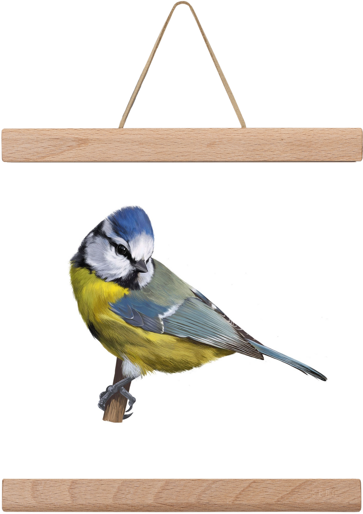 Kék cinege, 20x20 cm (20x20 cm), Tölgy akasztó