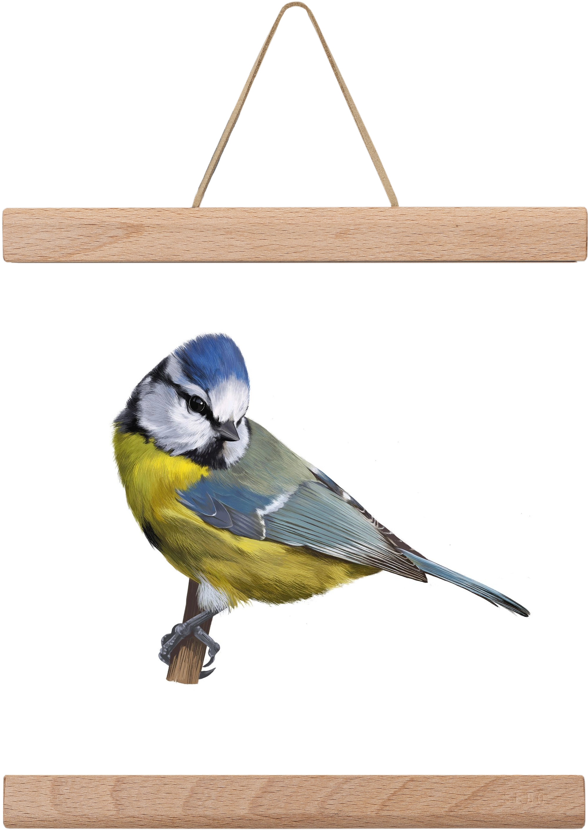 Kék cinege, 20x20 cm (20x20 cm), Tölgy akasztó
