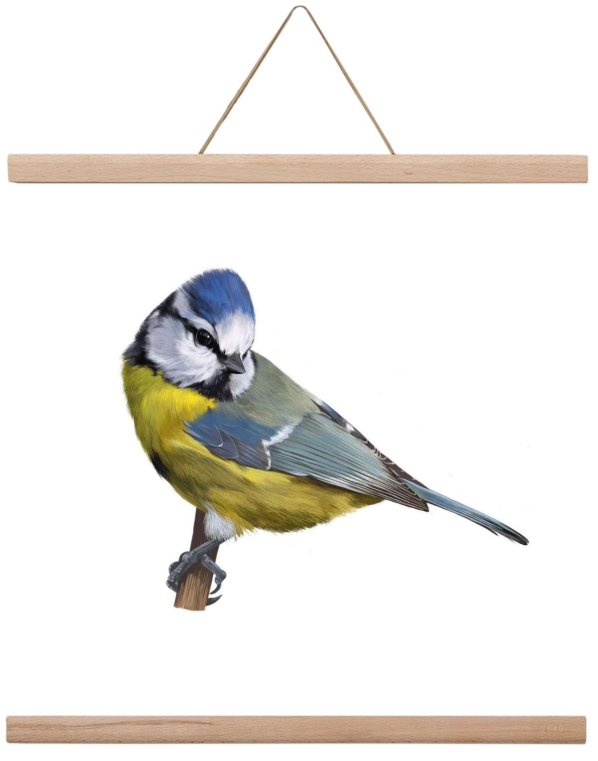 Kék cinege, 40x40 cm (40x40 cm), Tölgy akasztó