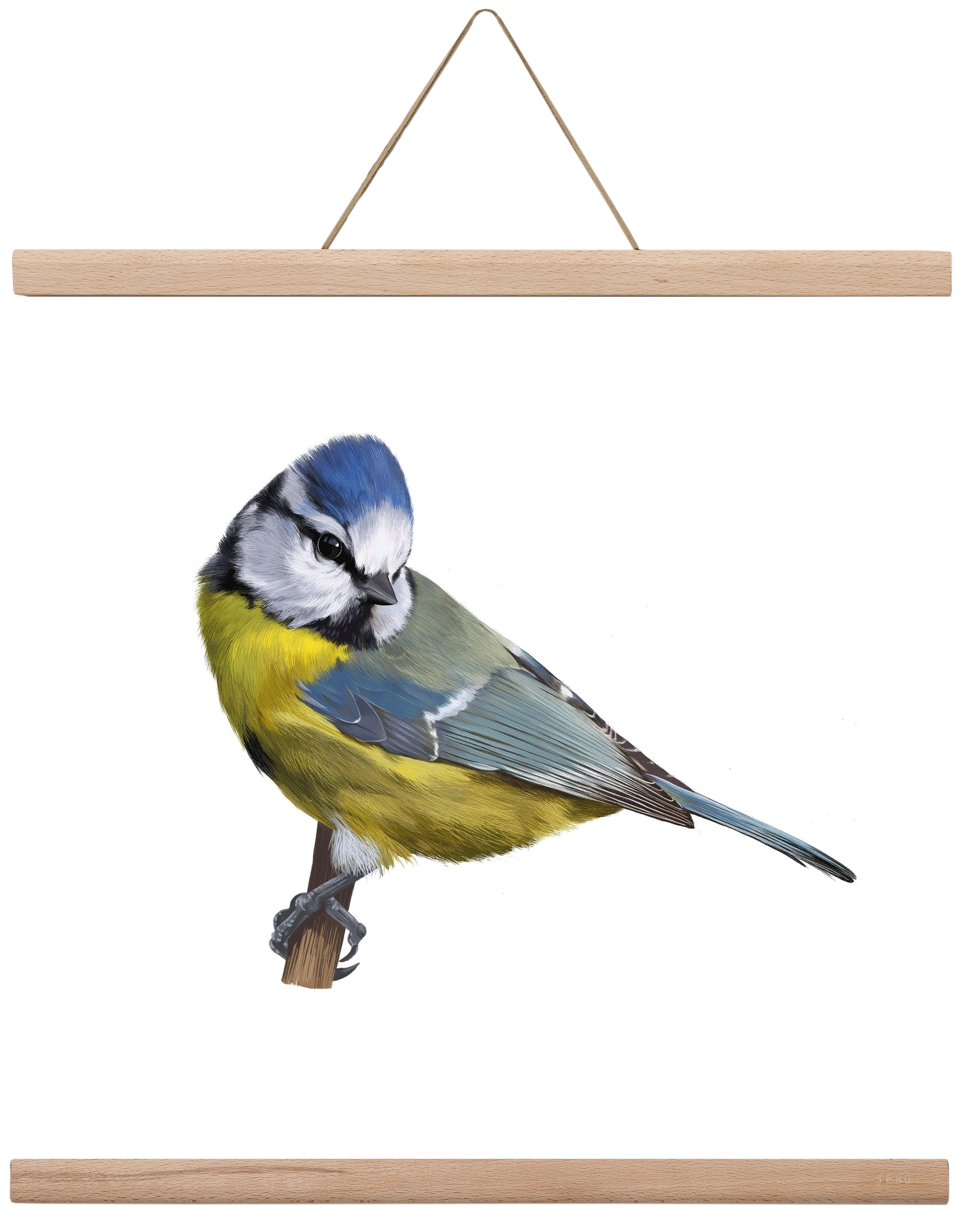 Kék cinege, 40x40 cm (40x40 cm), Tölgy akasztó