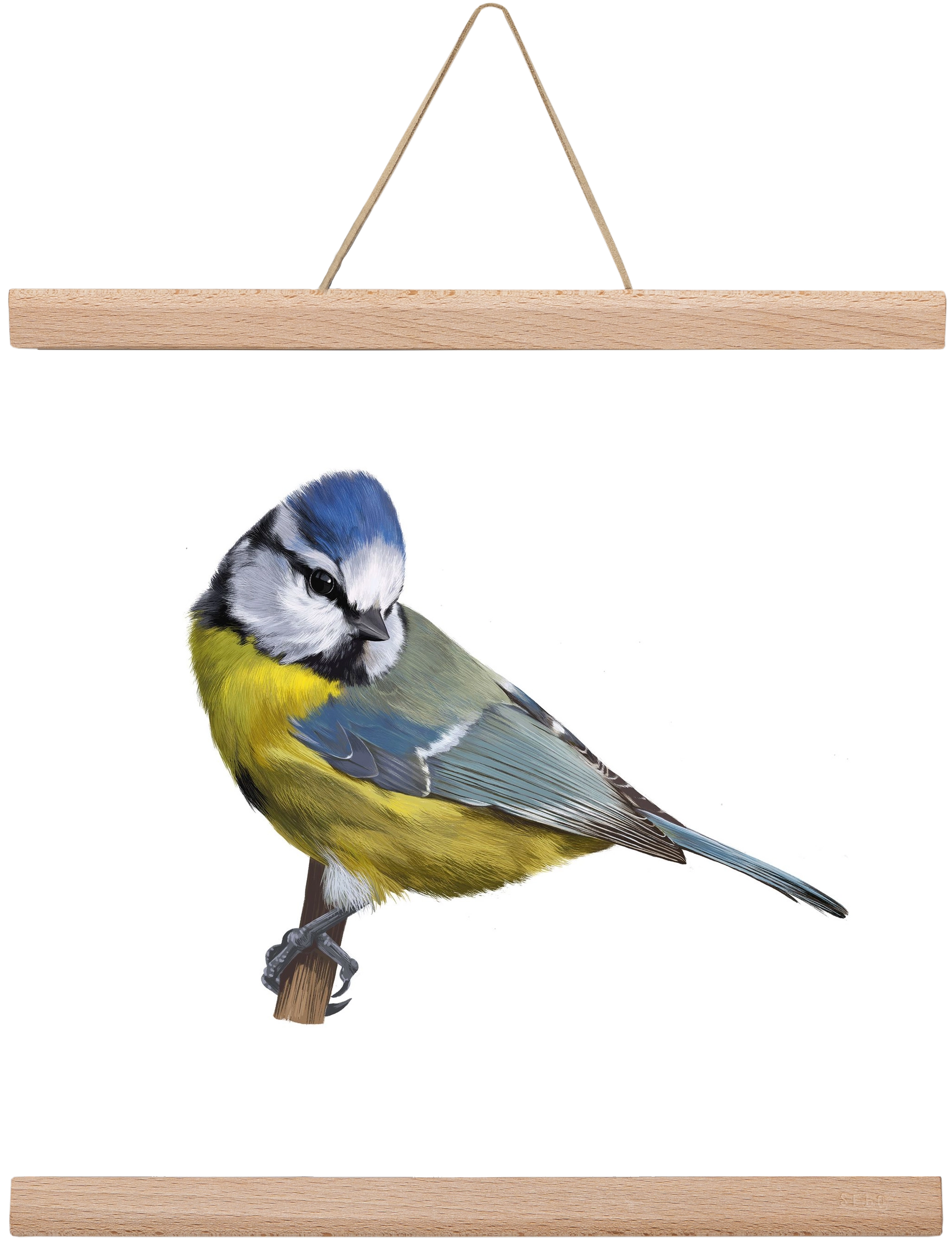 Kék cinege, 30x30 cm (30x30 cm), Tölgy akasztó