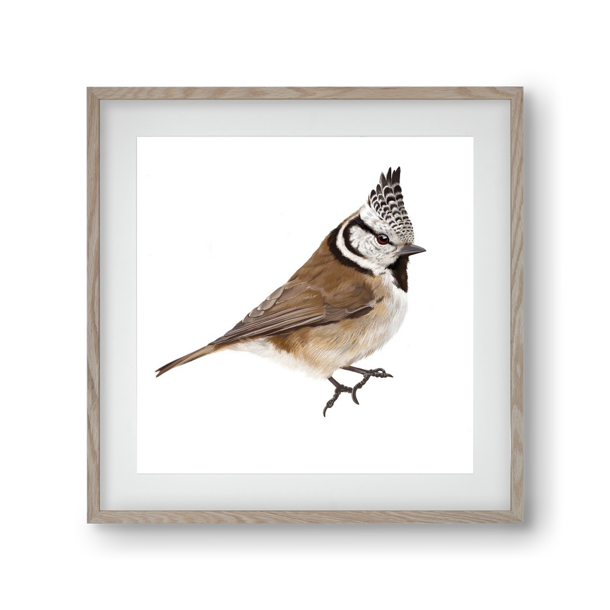 Búbos cinege, 30x30 cm (20x20 cm), Tölgy keret, paszpartuval
